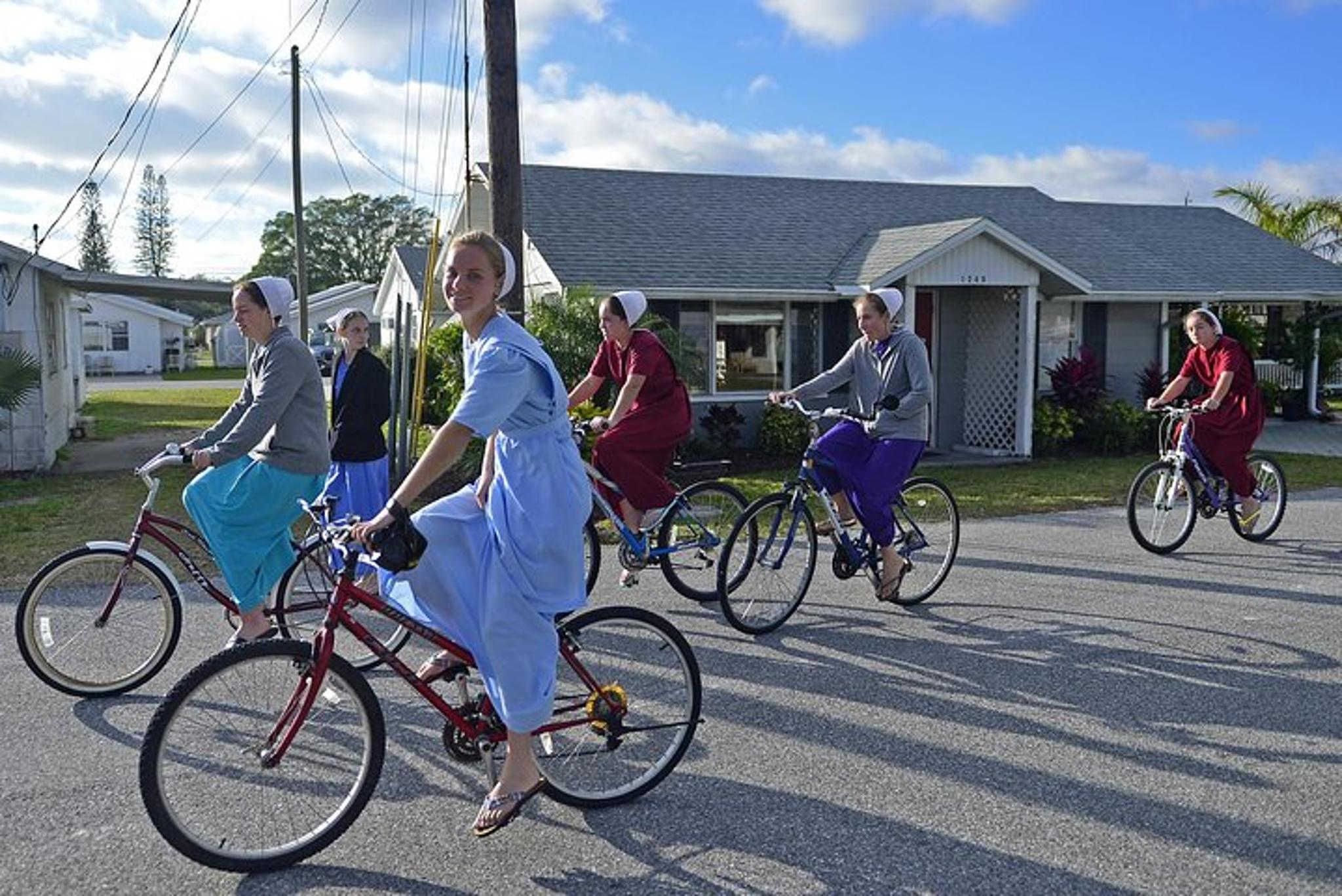 Sarasota Amish Experience Trolley Tour - Image 2