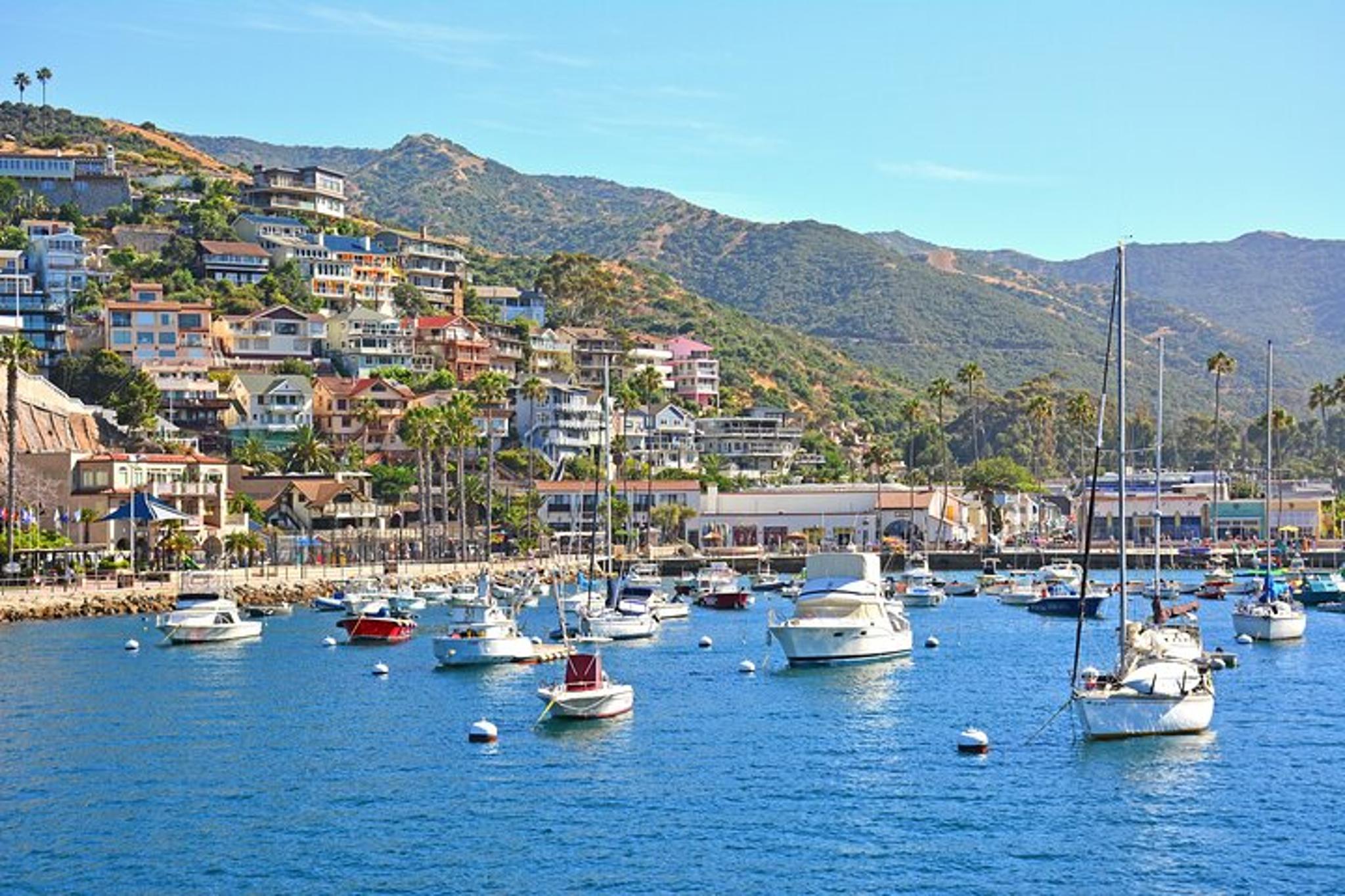 Avalon Private Tour from Catalina Island - Image 2
