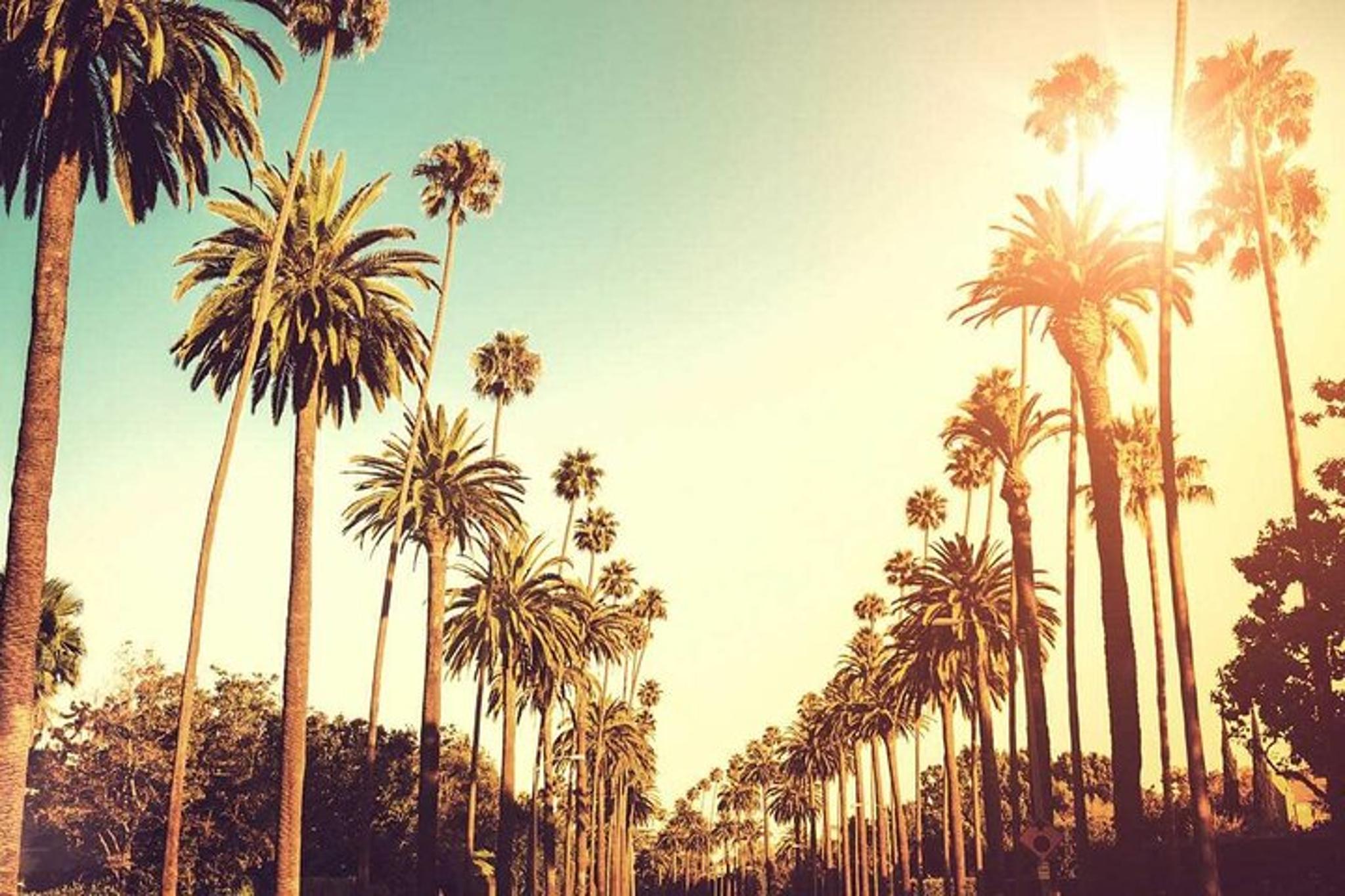Los Angeles City Tour 7 hr