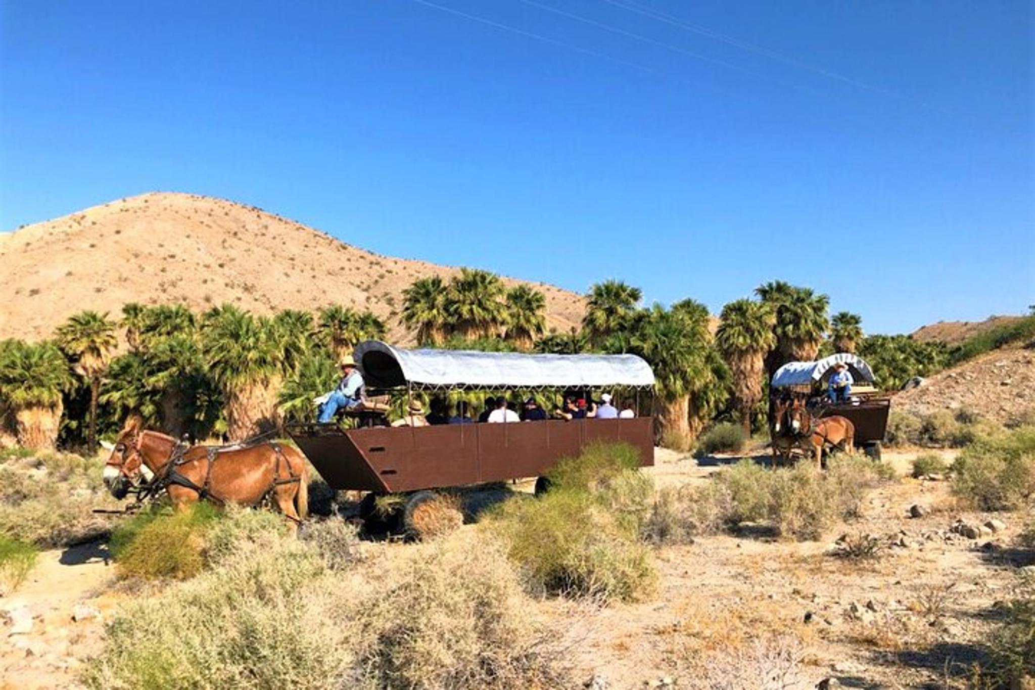 Palm Desert Covered Wagon Adventure & BBQ - Image 2