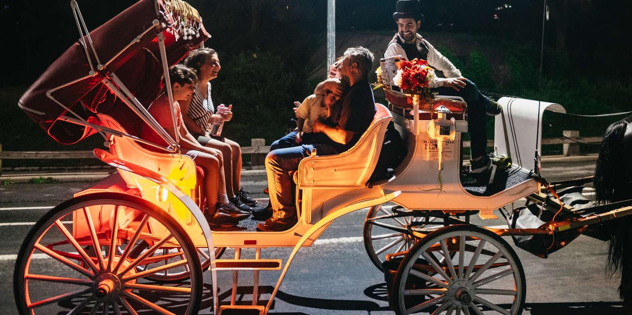 New York City Carriage Ride through Central Park, Rockefeller & Times Square - Image 4