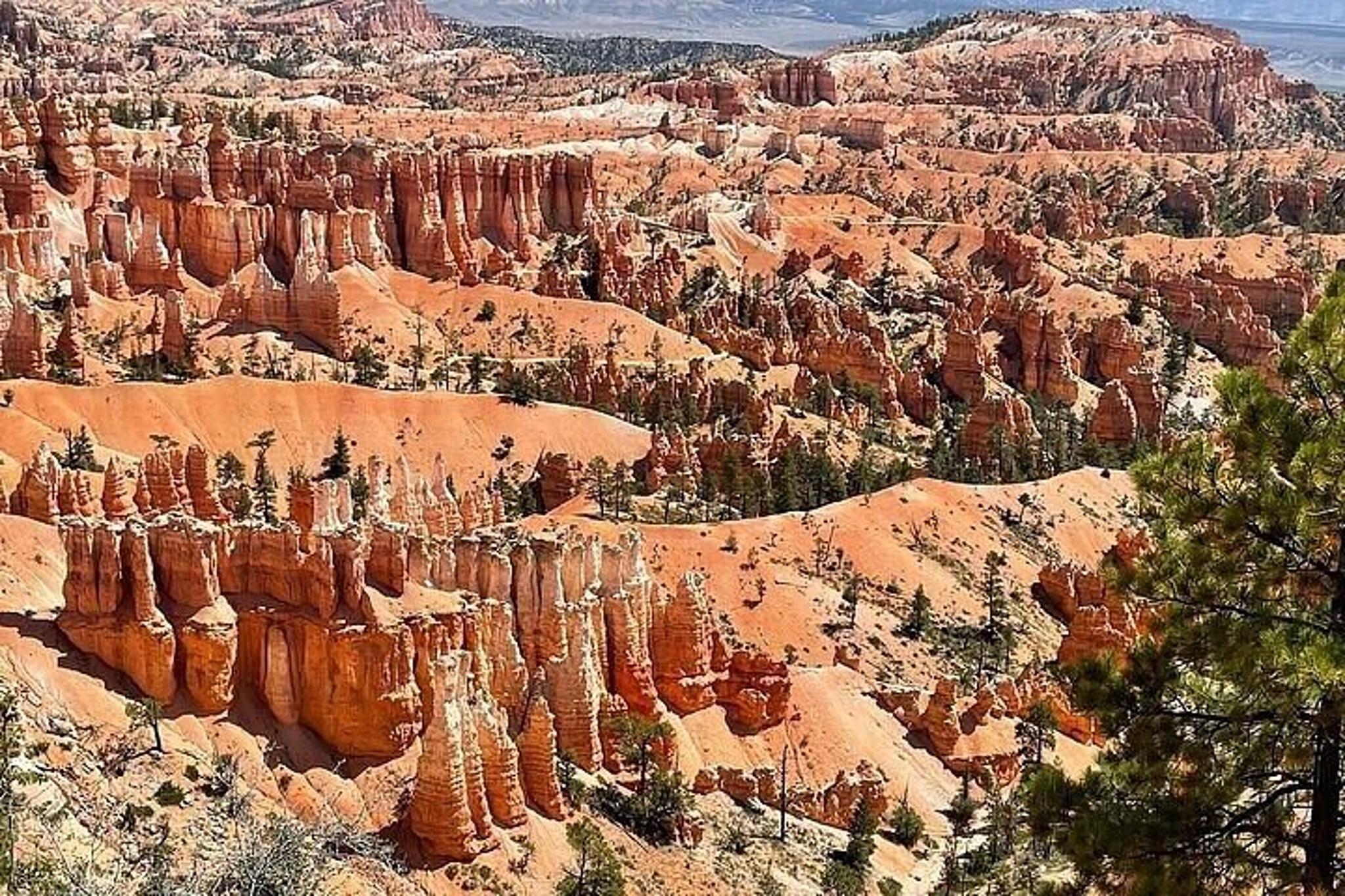 Las Vegas Bryce Canyon & Zion National Park Tour - Image 5