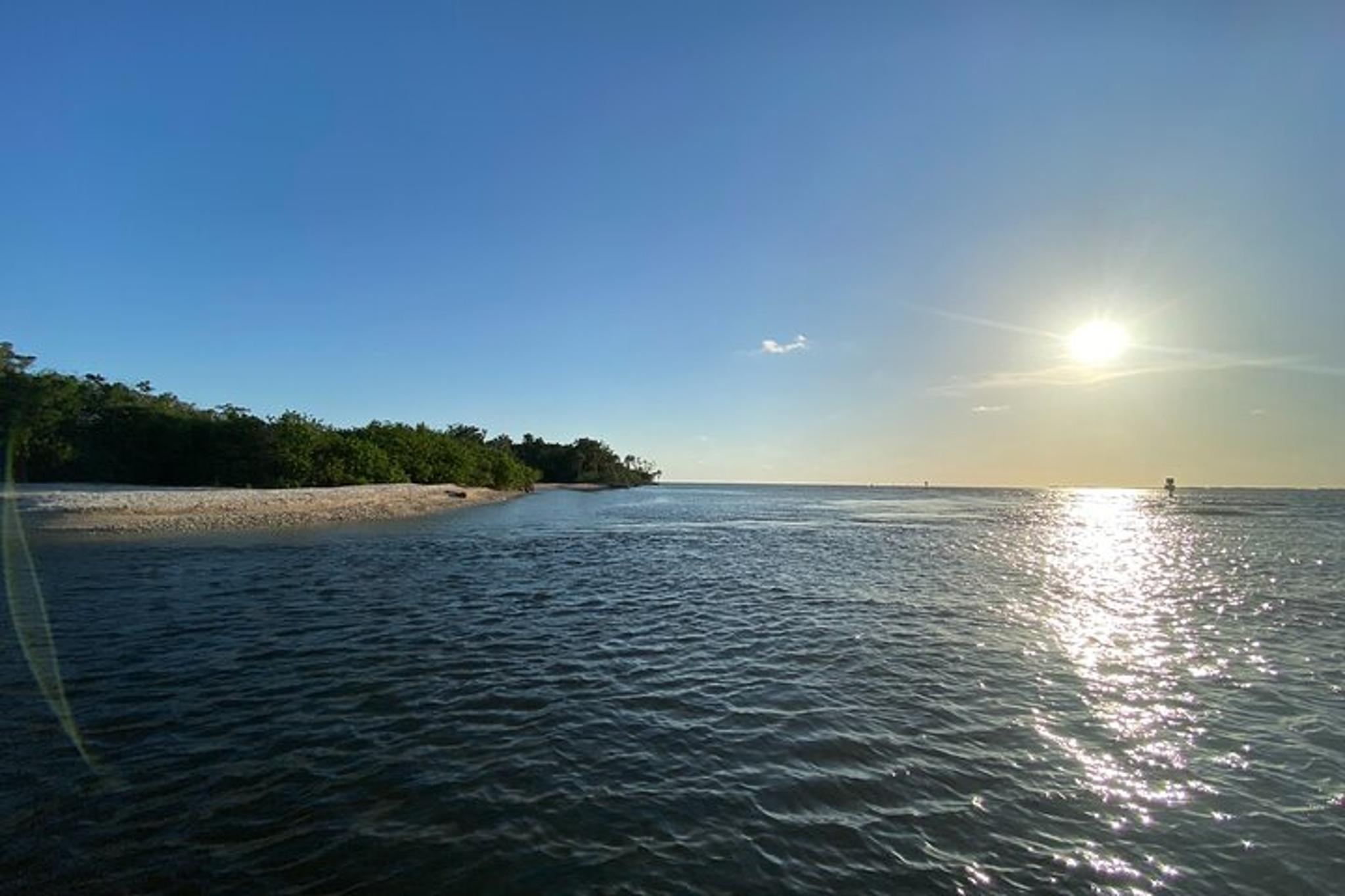 Crystal River Private Scalloping Adventure - Image 5