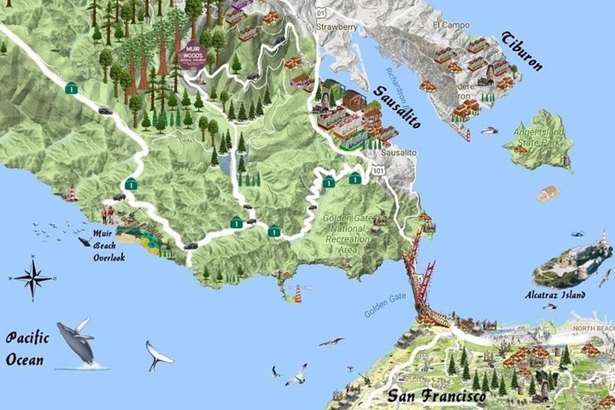 San Francisco Muir Woods & Sausalito Private Tour - Image 3