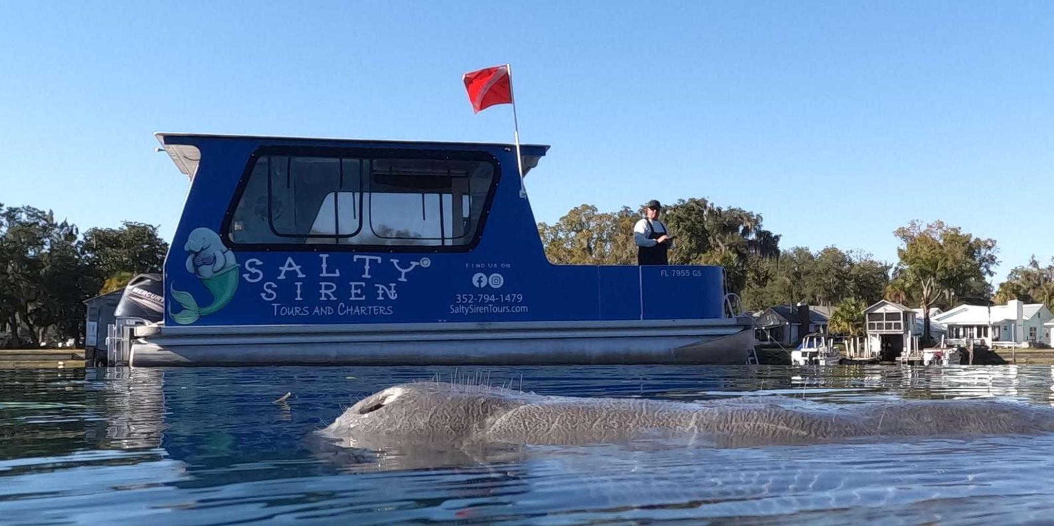 Crystal River Manatee Snorkel Tour - Image 6
