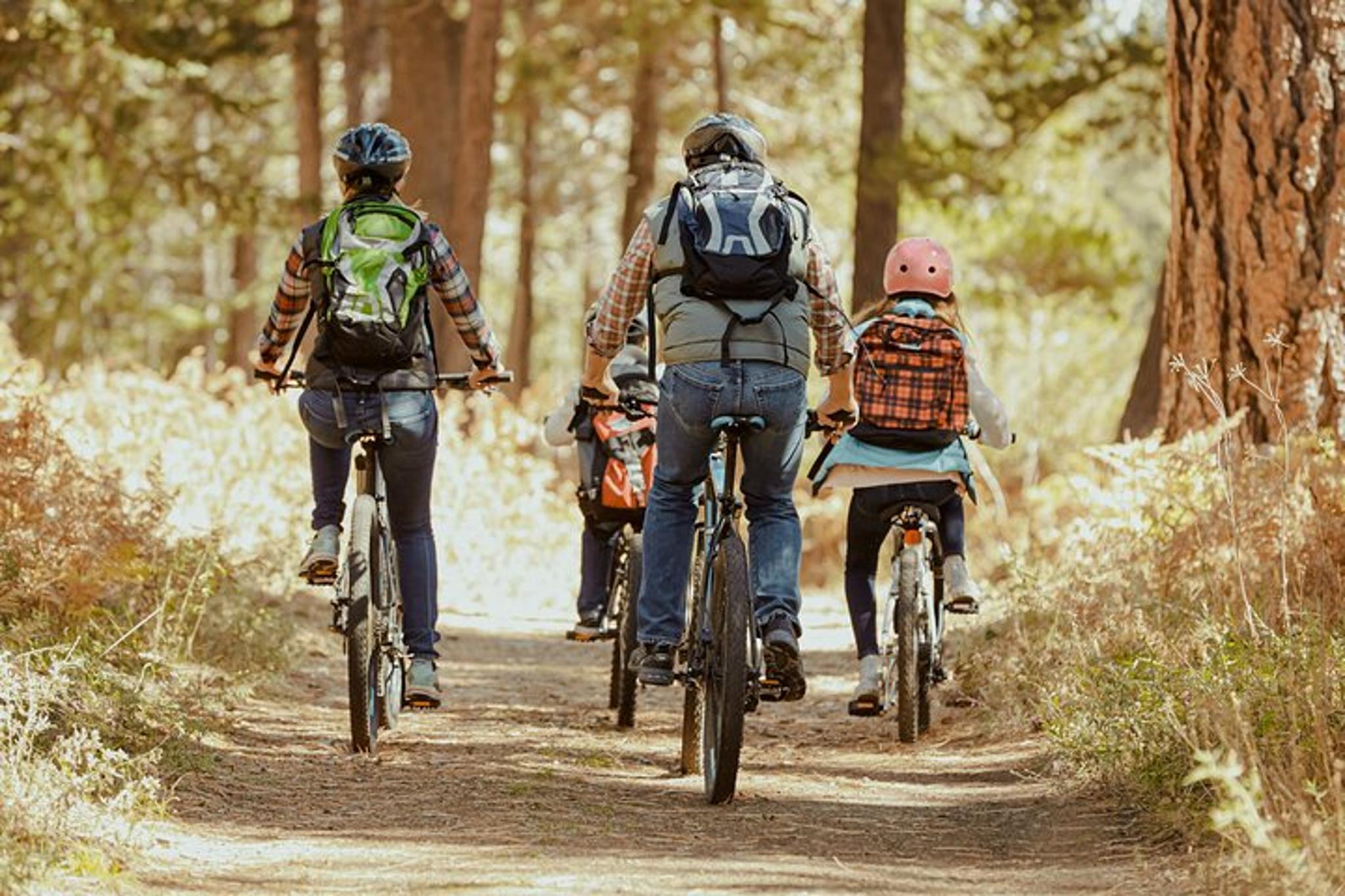 Breckenridge Bike Rental - Image 3
