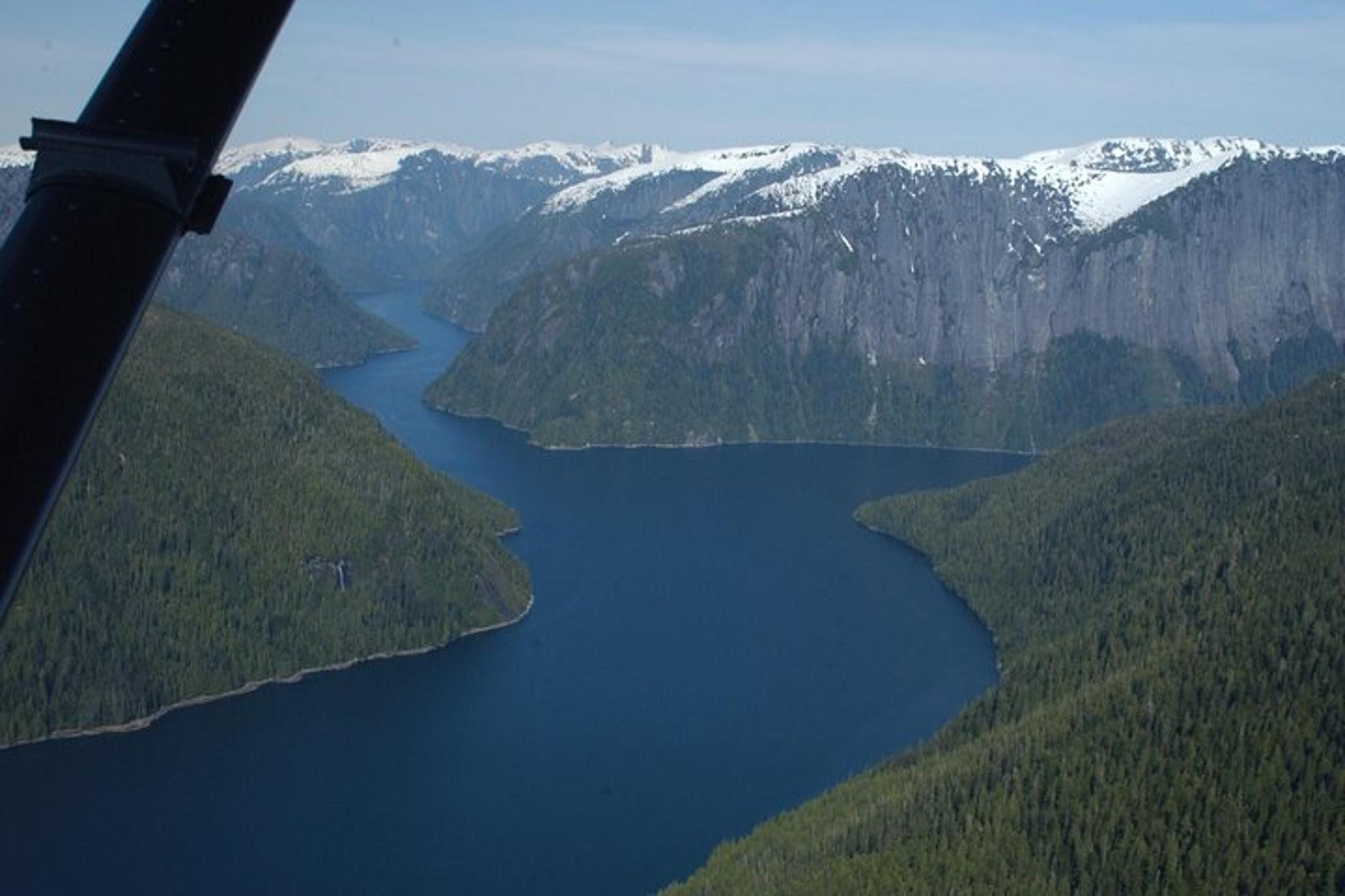 Ketchikan Seaplane Tour to Misty Fjords - Image 5