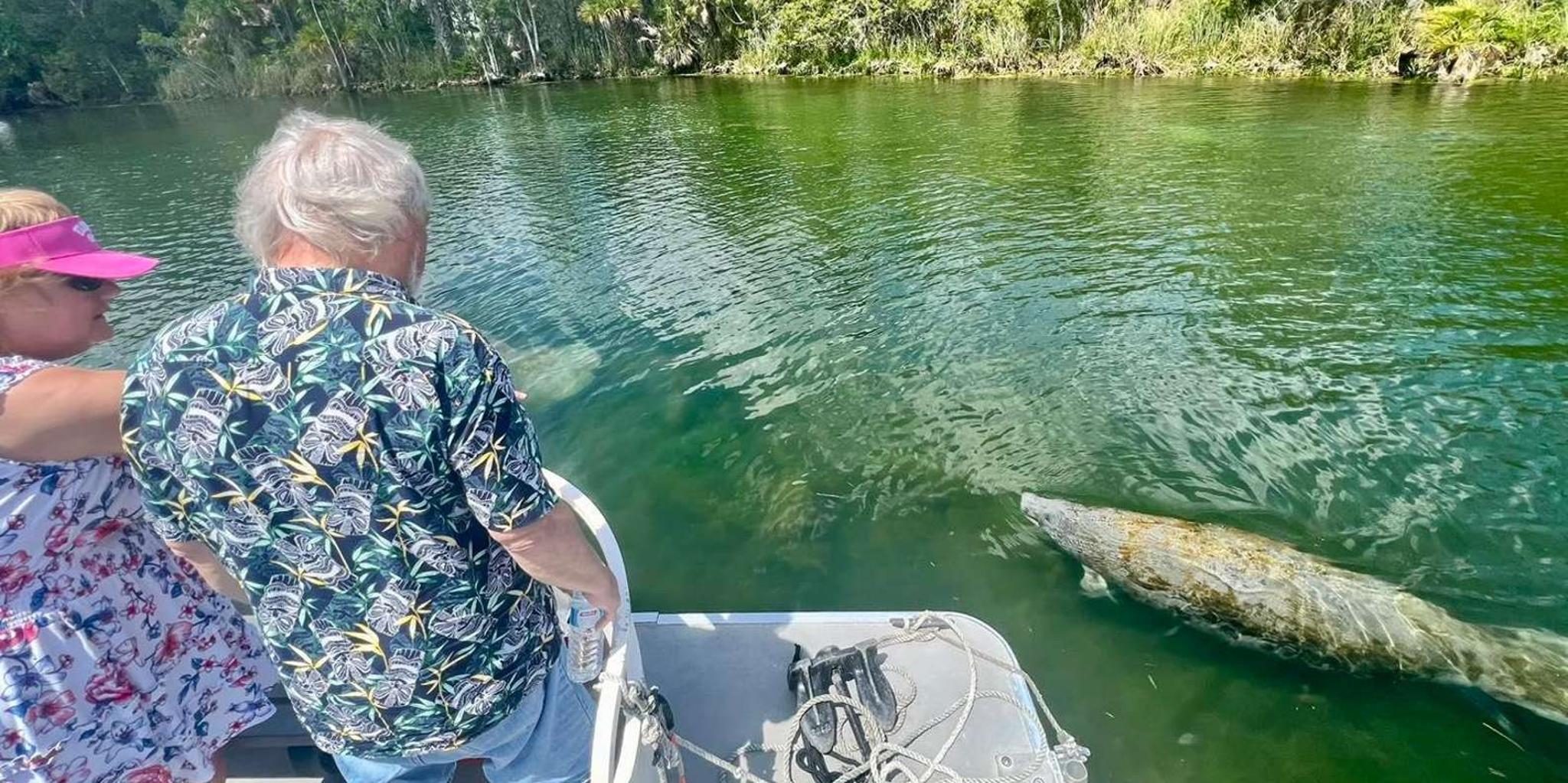 Crystal River Manatee Snorkeling Tour - Image 3