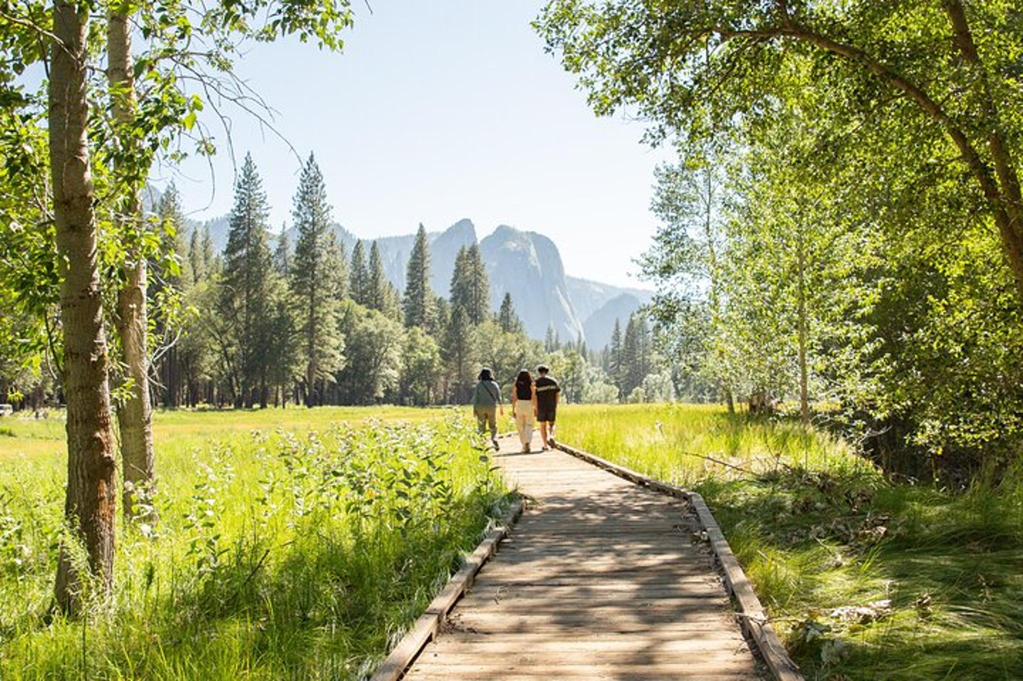 Yosemite Private Tour and Hike