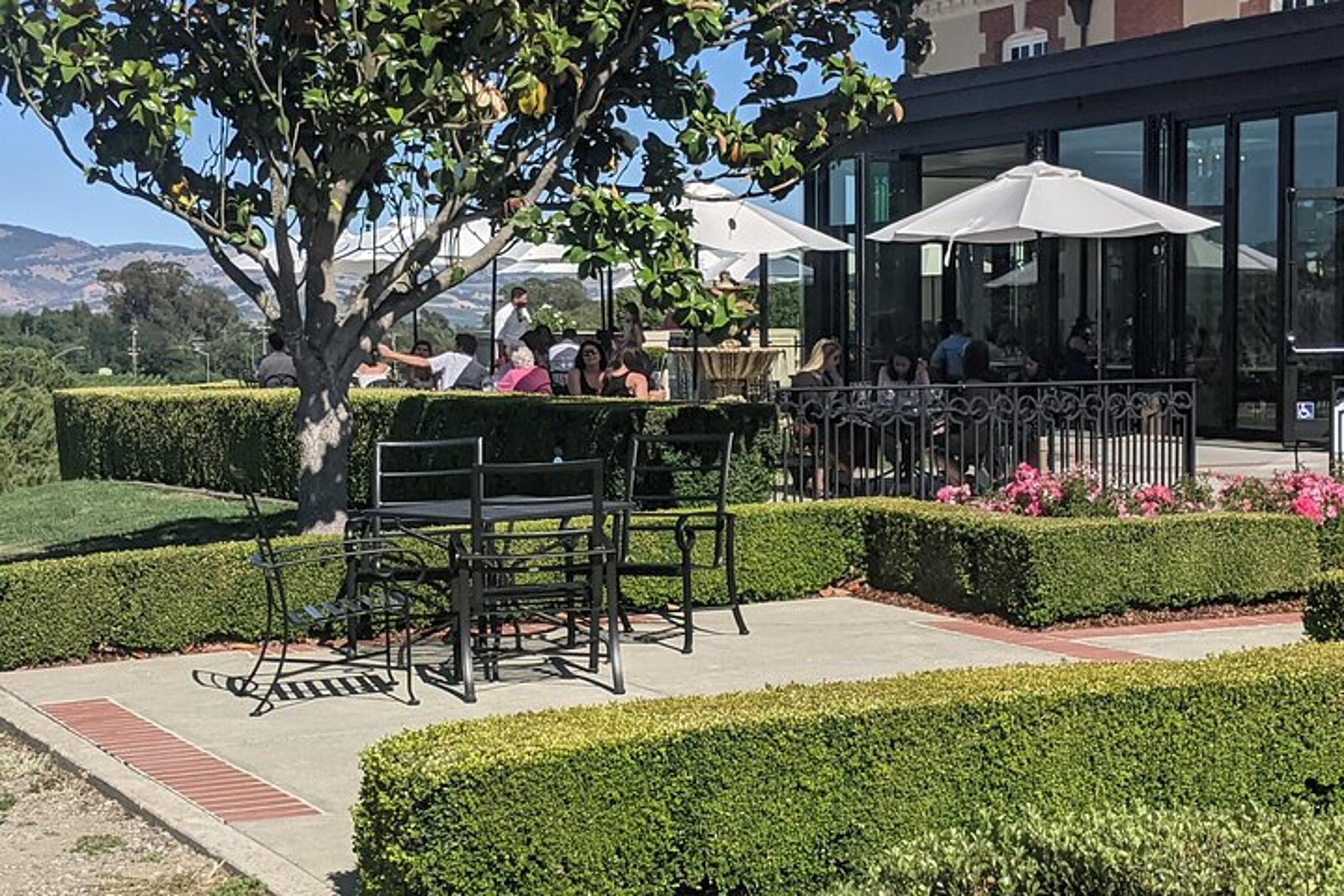 Napa and Sonoma Valley Wine Tour 8 hr - Image 6