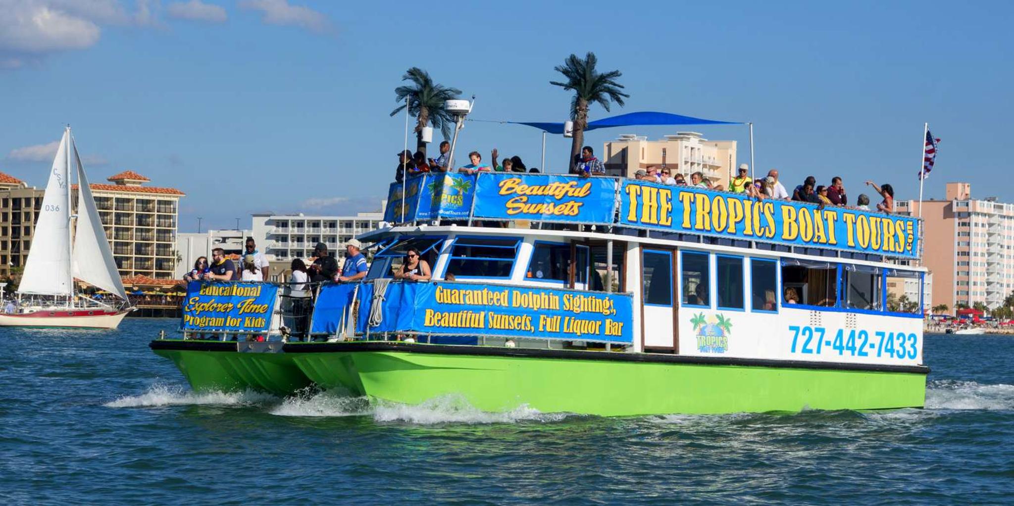Clearwater Dolphin Cruise with Guaranteed Sightings 2 hr