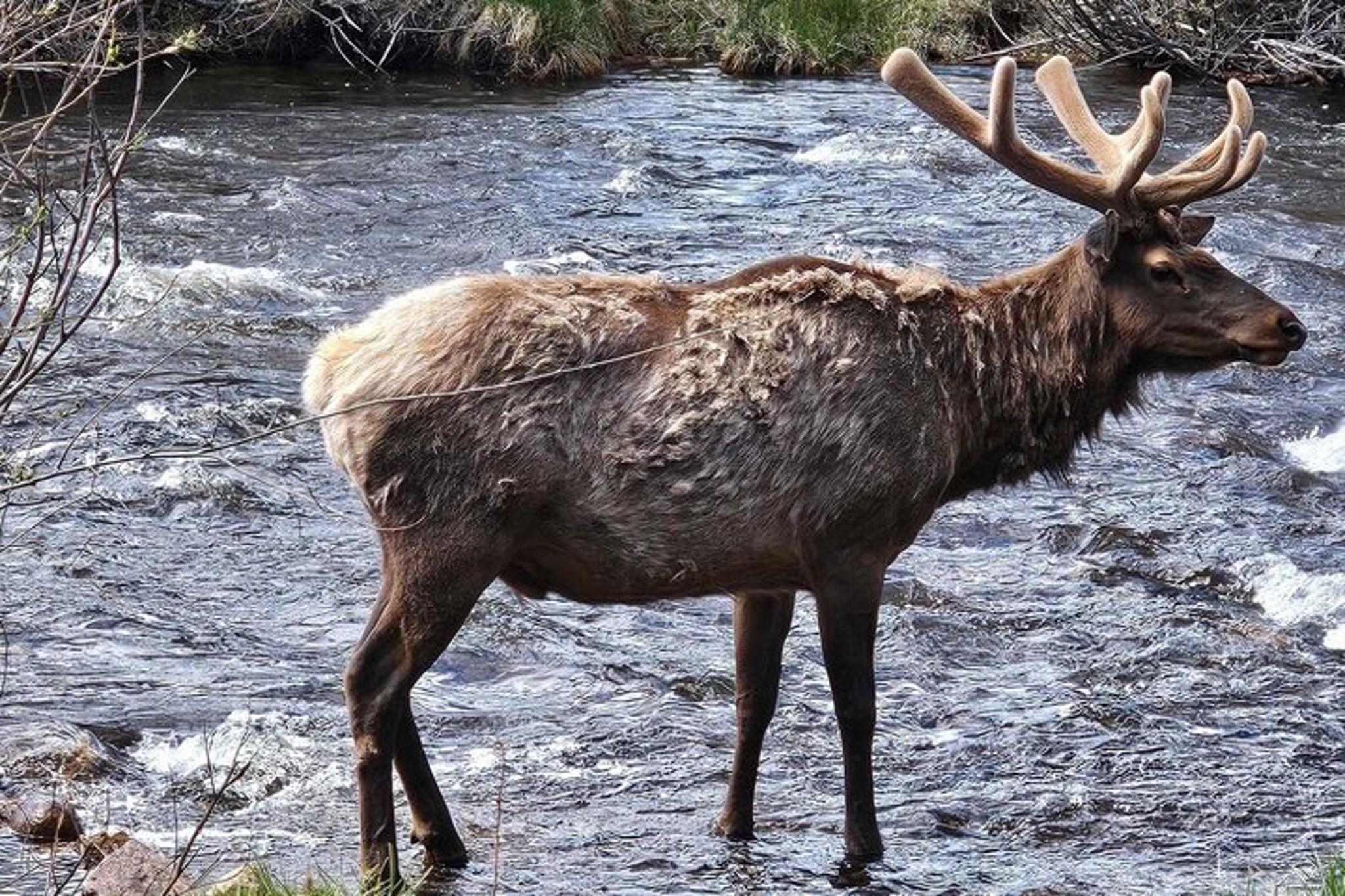 Denver Rocky Mountain Private Tour - Image 3