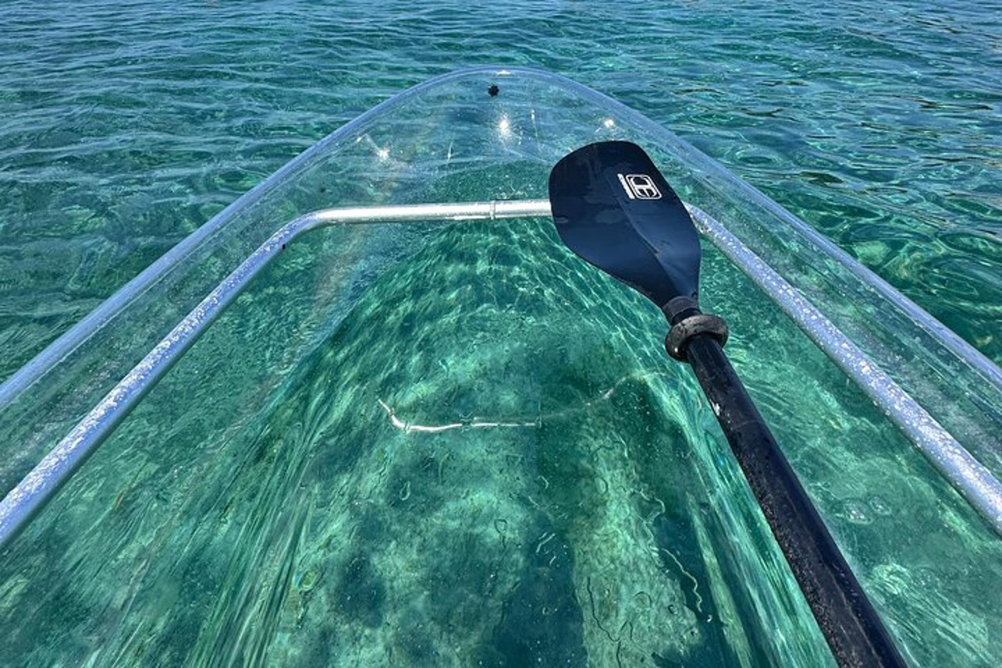 Peanut Island Glass-Bottom Kayak & Snorkel Adventure - Image 2