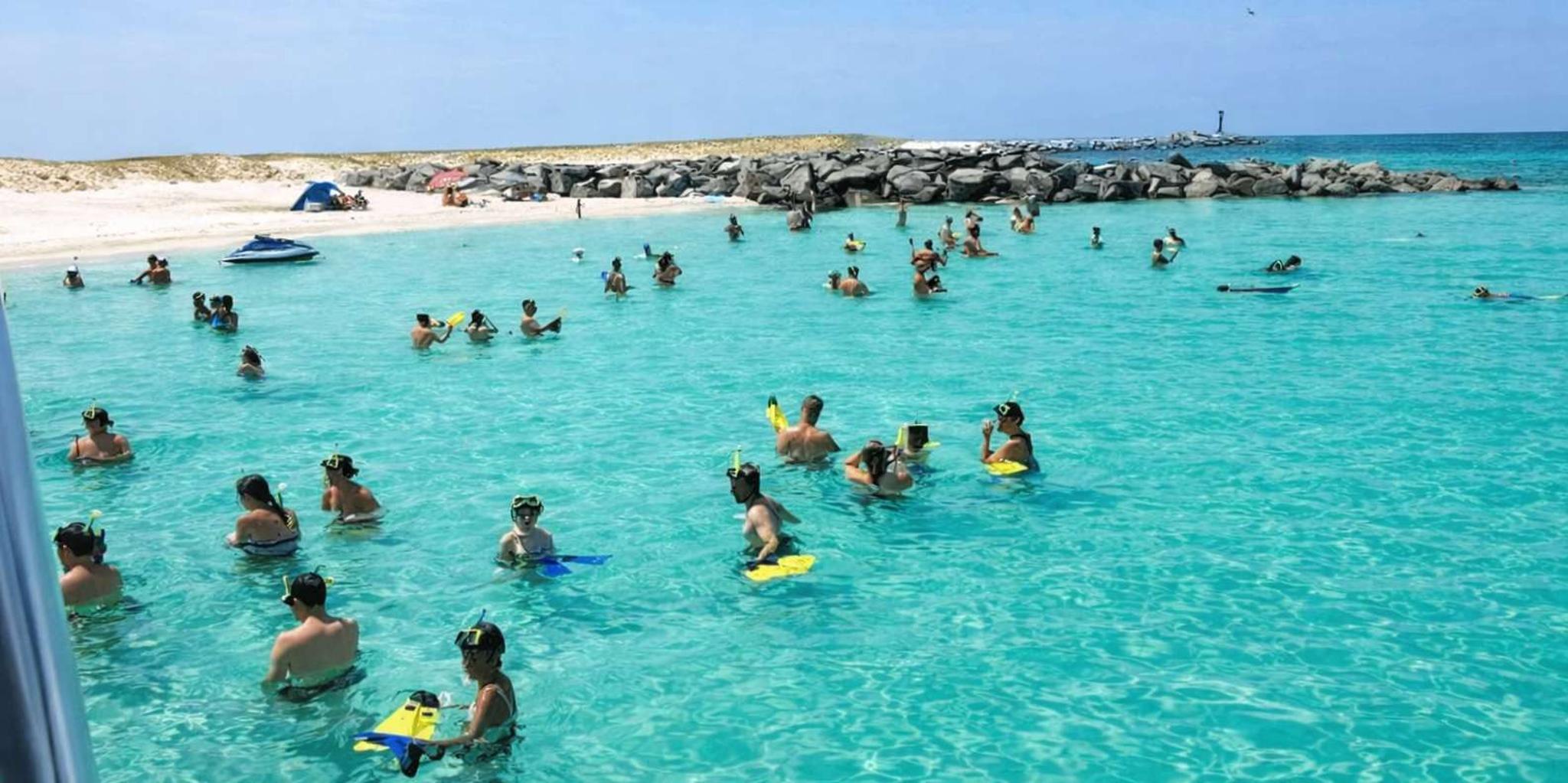 Panama City Beach Snorkeling and Dolphin Watching Tour