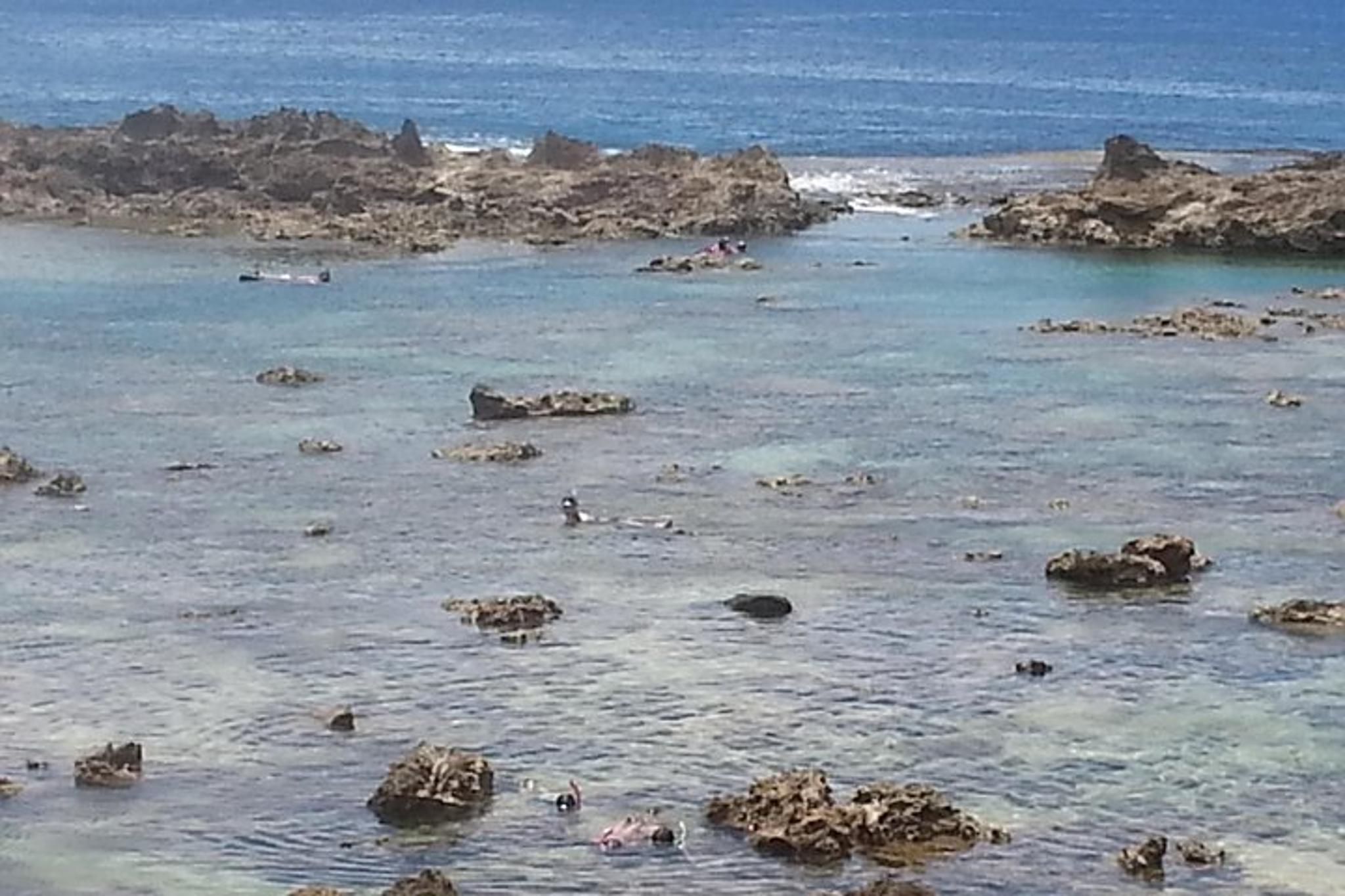 Oahu North Shore Convertible Tour - Image 6