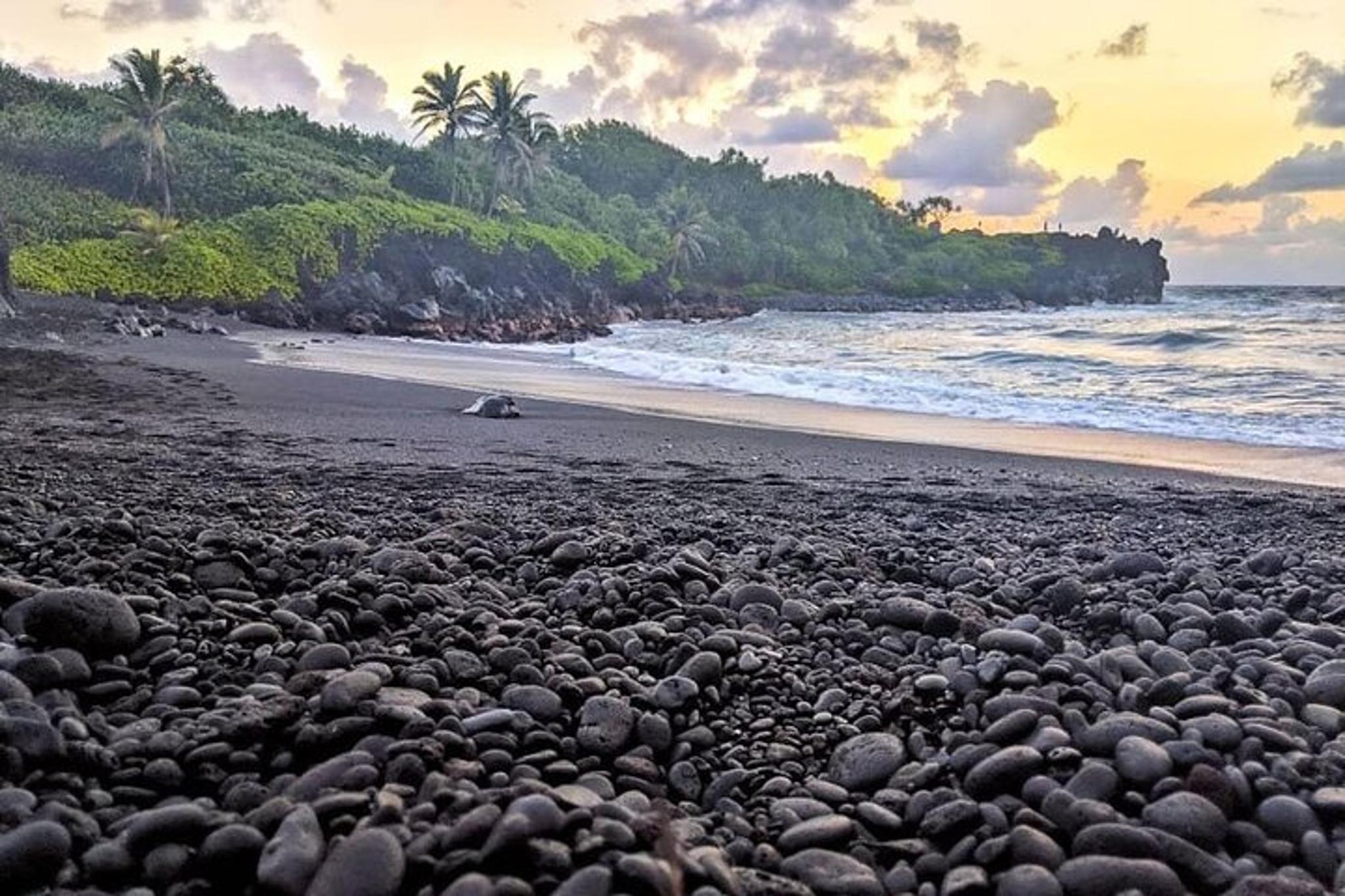 Maui Hana Private SUV Tour - Image 6