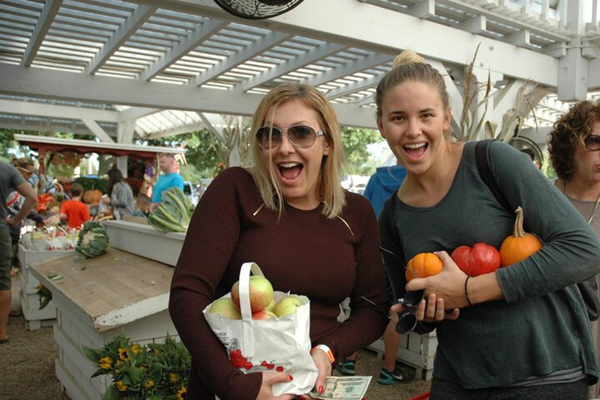 Mattituck Wine Country Bike Tour - Image 6