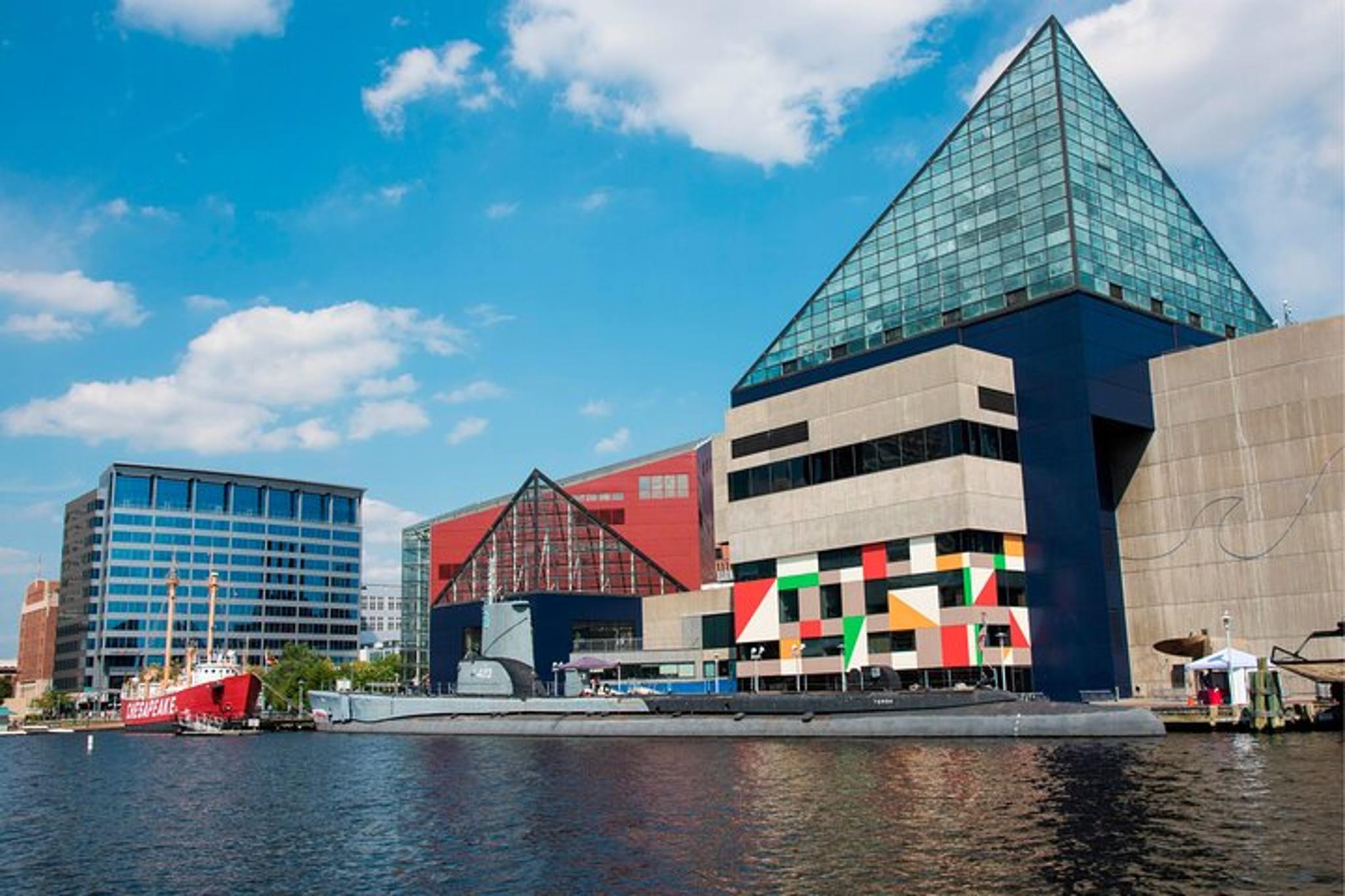 Baltimore Inner Harbor Sail - Image 6
