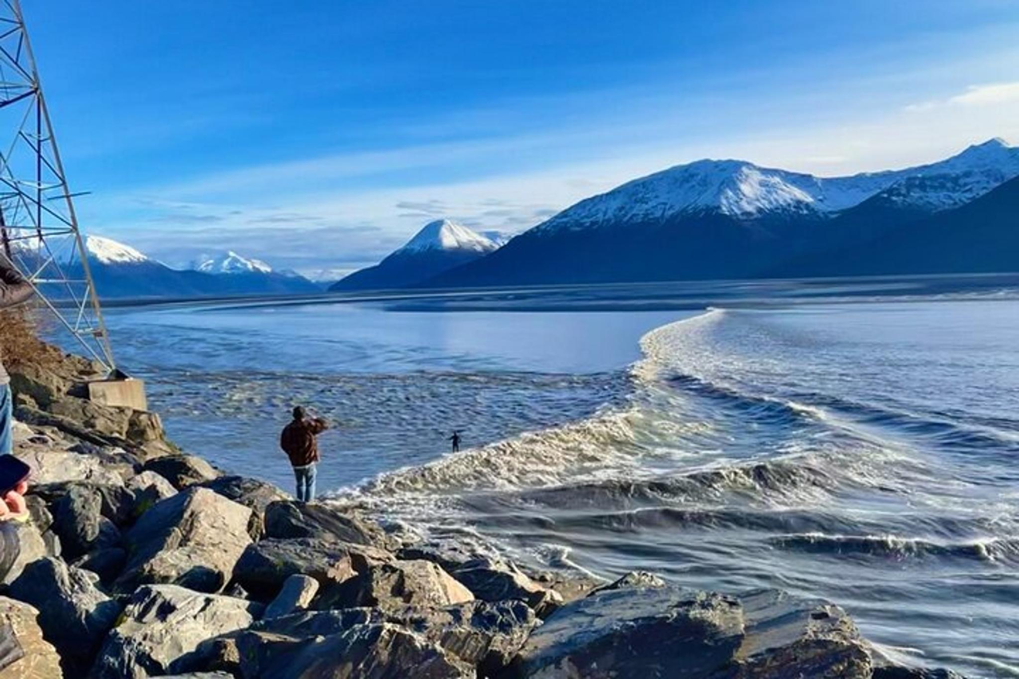 Anchorage Summer Wildlife Tour - Image 3