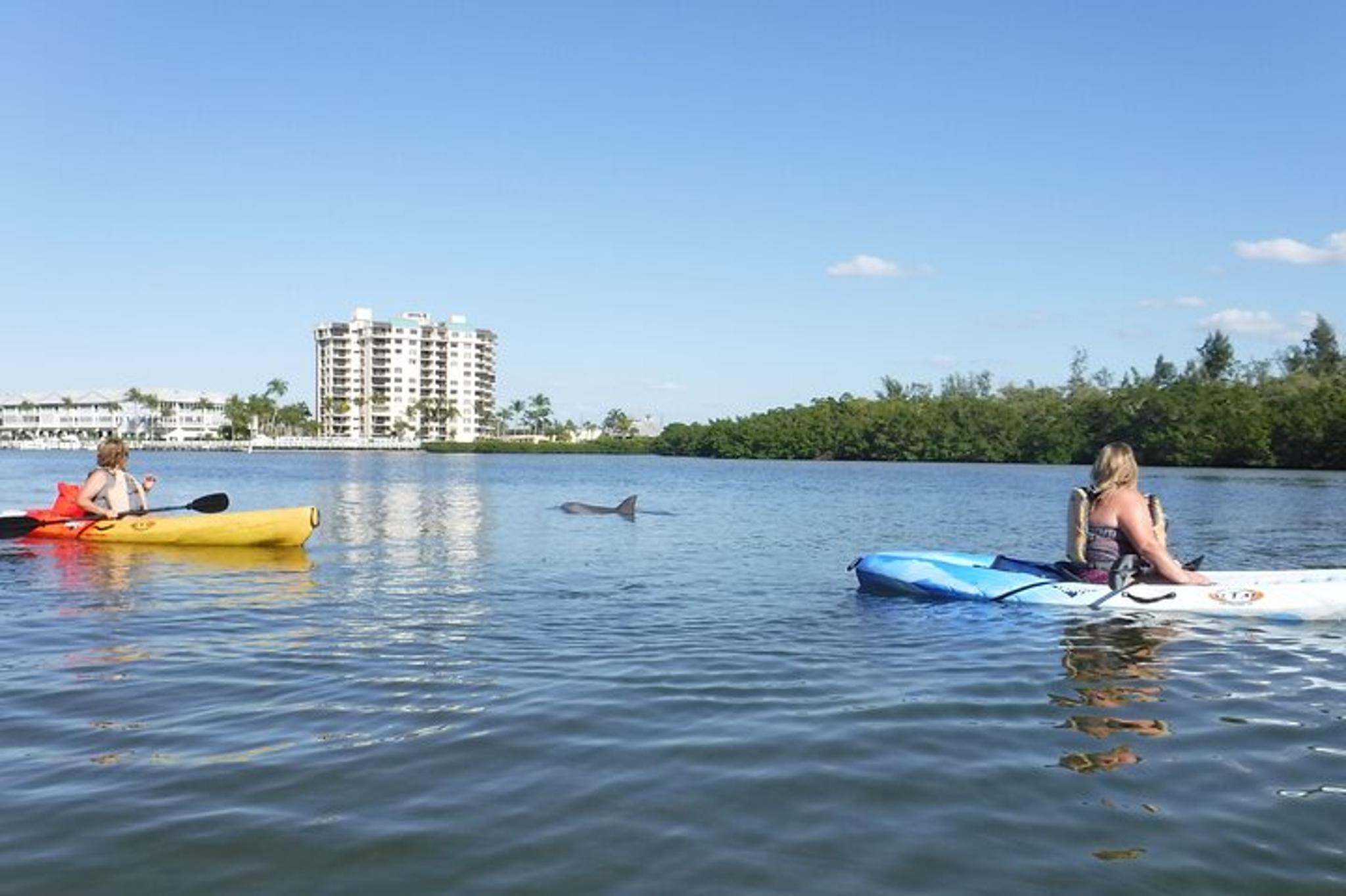 Fort Myers Beach Kayak or SUP Rental 3hr - Image 3