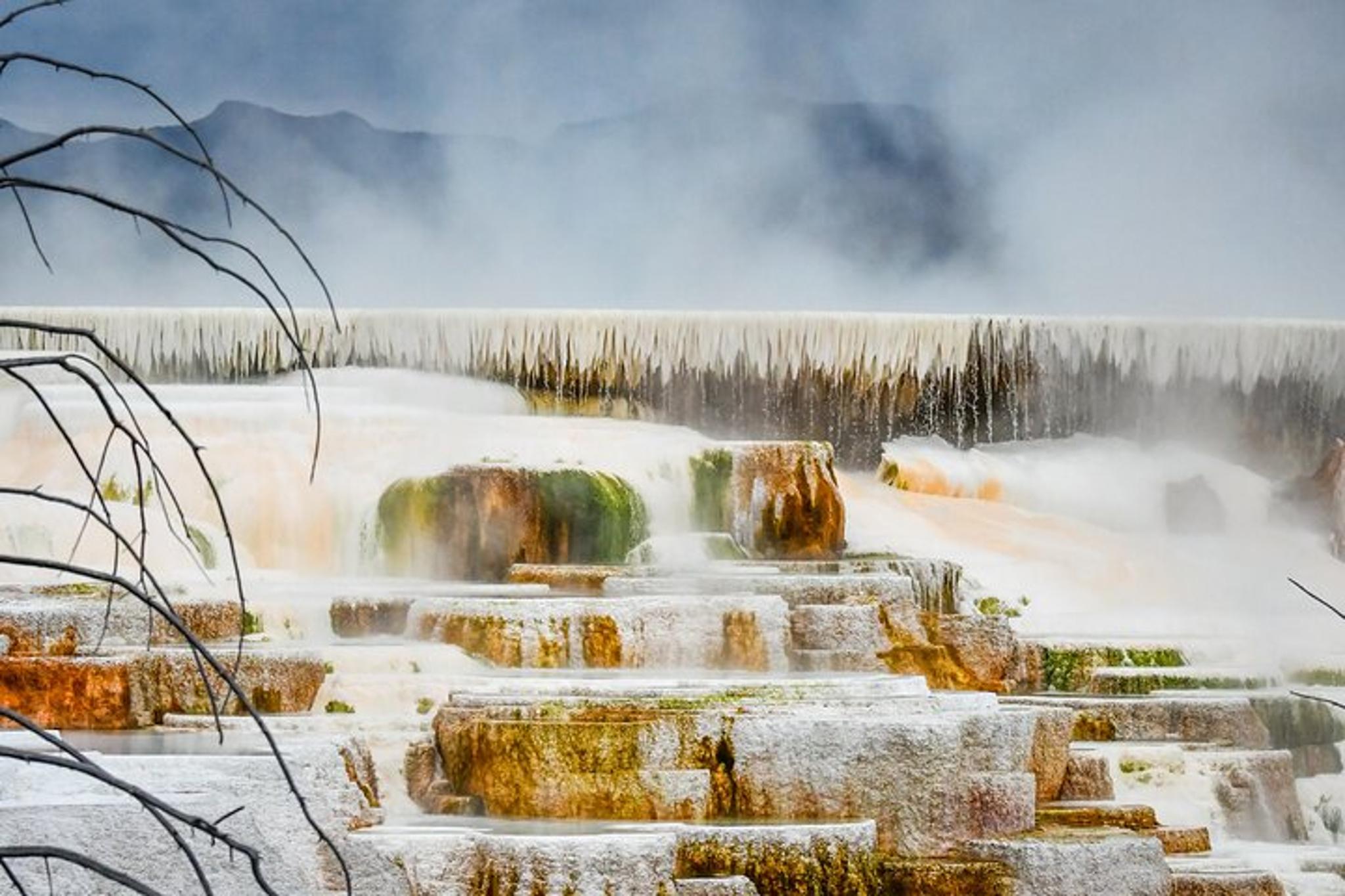 Yellowstone & Grand Teton Winter Tour 5-Day - Image 4