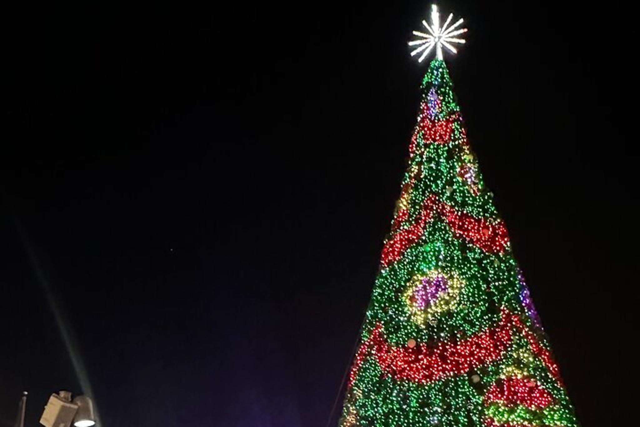 Washington, DC Holiday Lights Night Bus Tour - Image 6