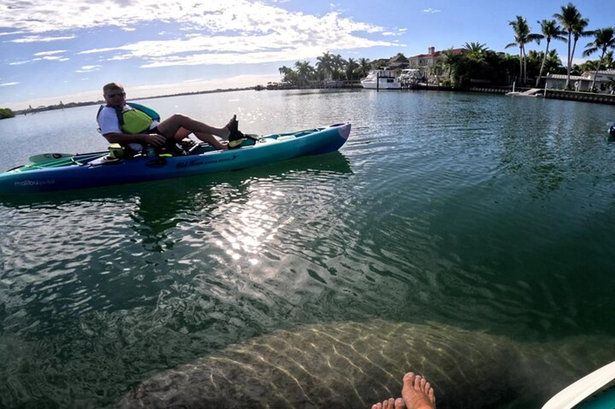 Sarasota Pedal Kayak Tour - Image 6