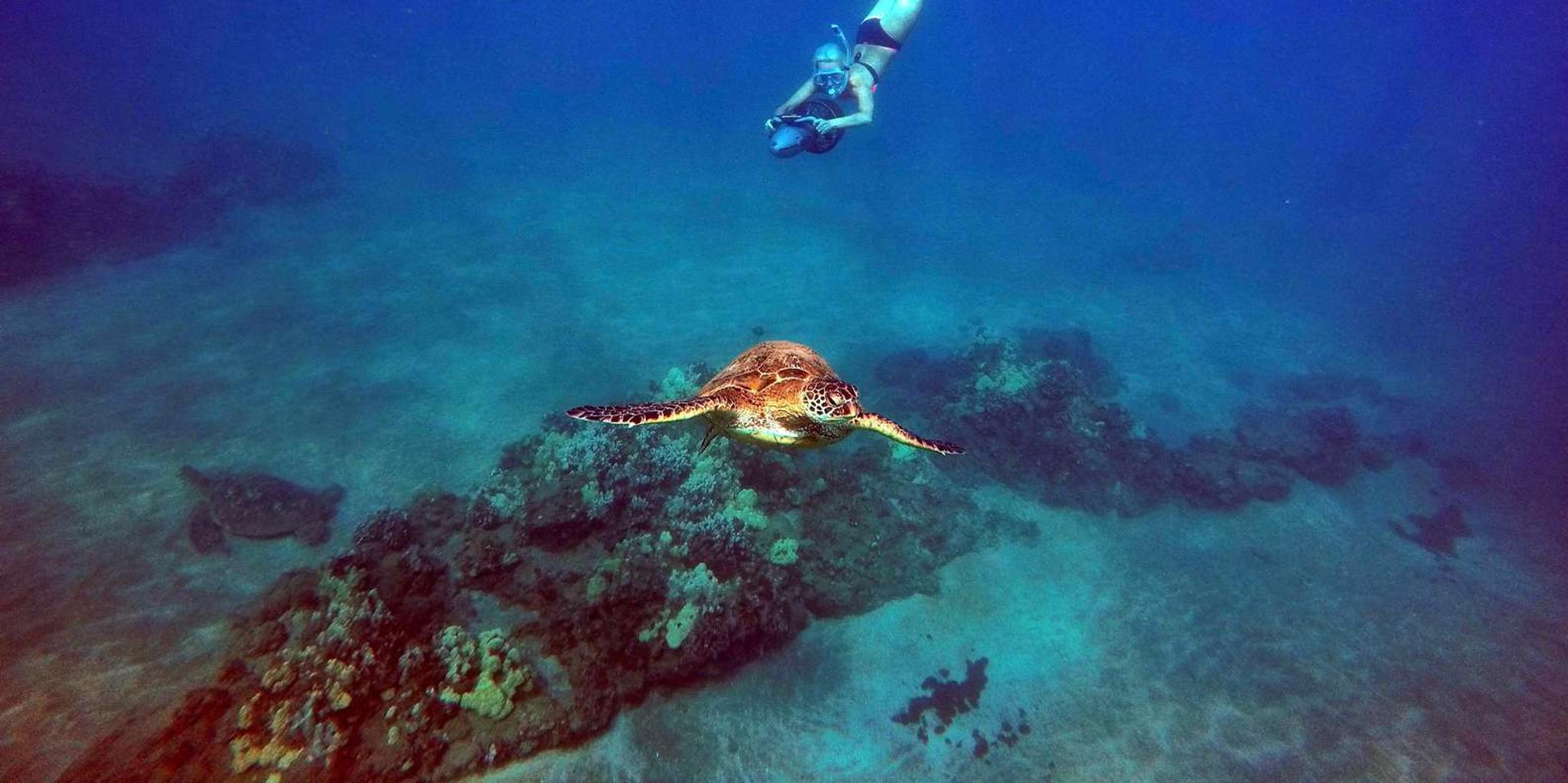 Wailea Beach Sea Scooter Snorkeling Tour - Image 5