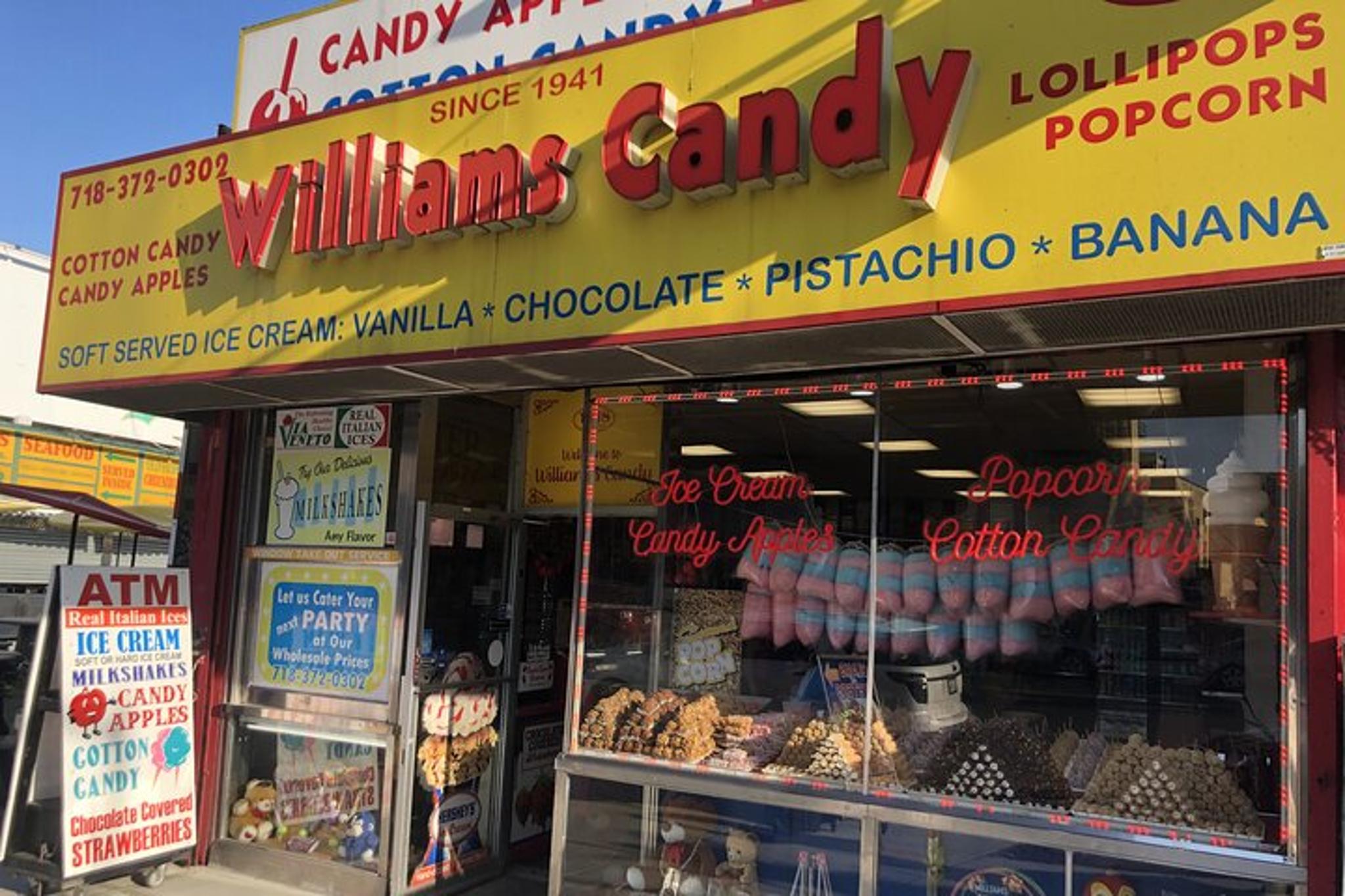 Brooklyn Coney Island Private Visit - Image 2