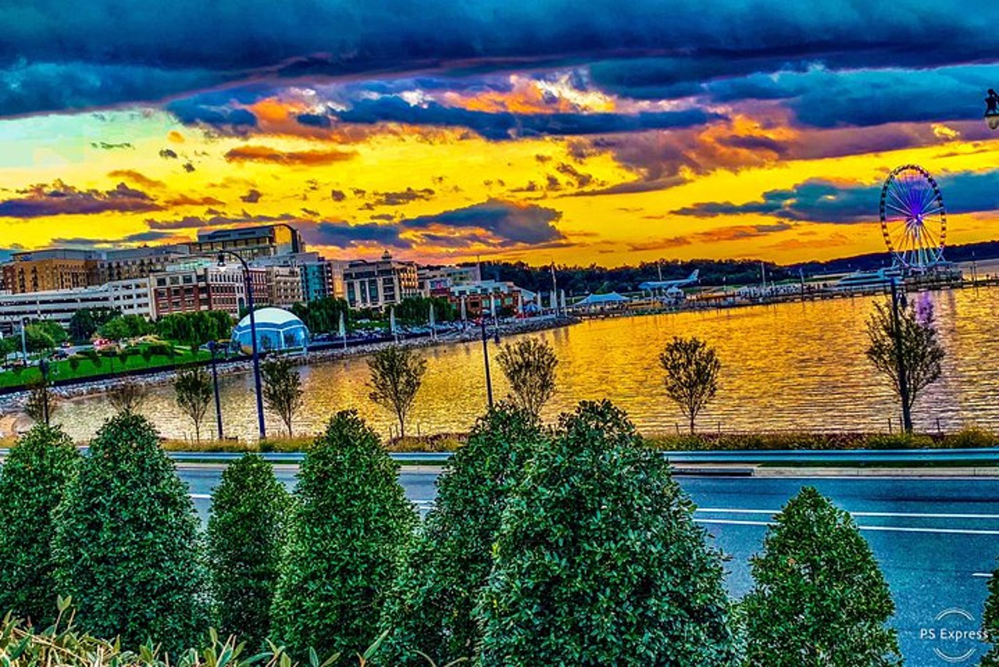 Washington DC City Tour - Image 6