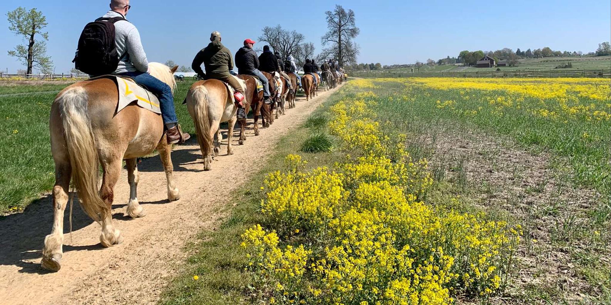 Gettysburg Battlefield Horseback Tour - Image 5