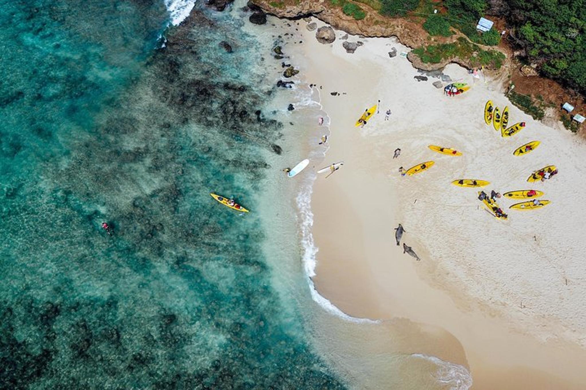 Kailua Bay Kayak and Snorkel Adventure - Image 3
