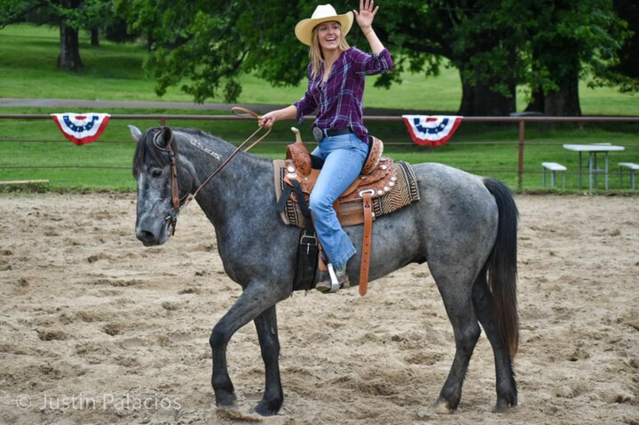 Memphis Horseback Ride at Sunset - Image 3