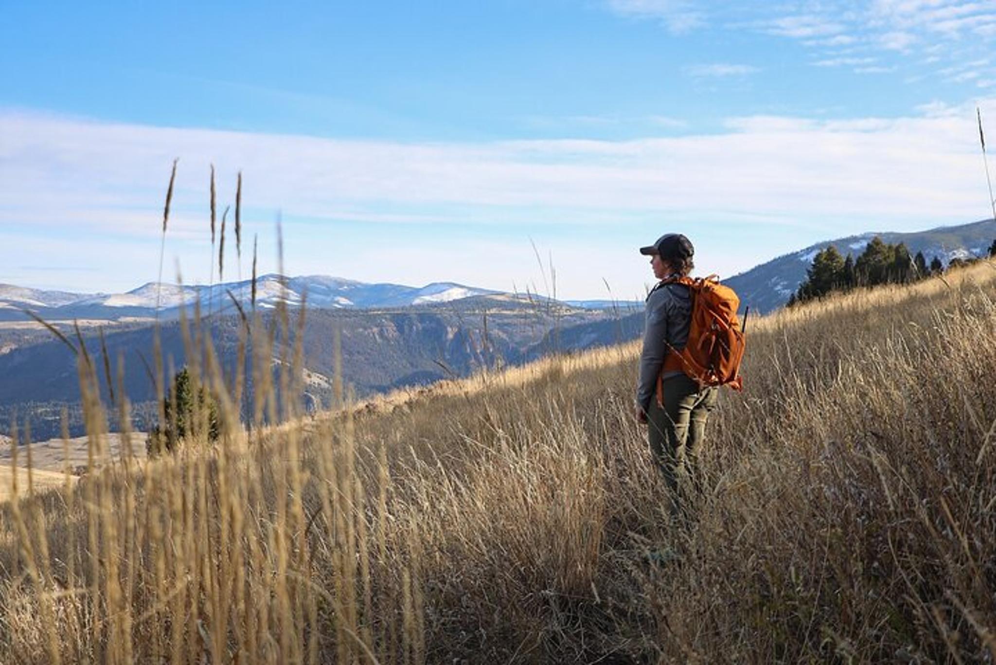 Yellowstone Beaver Ponds Naturalist Hike - Image 5