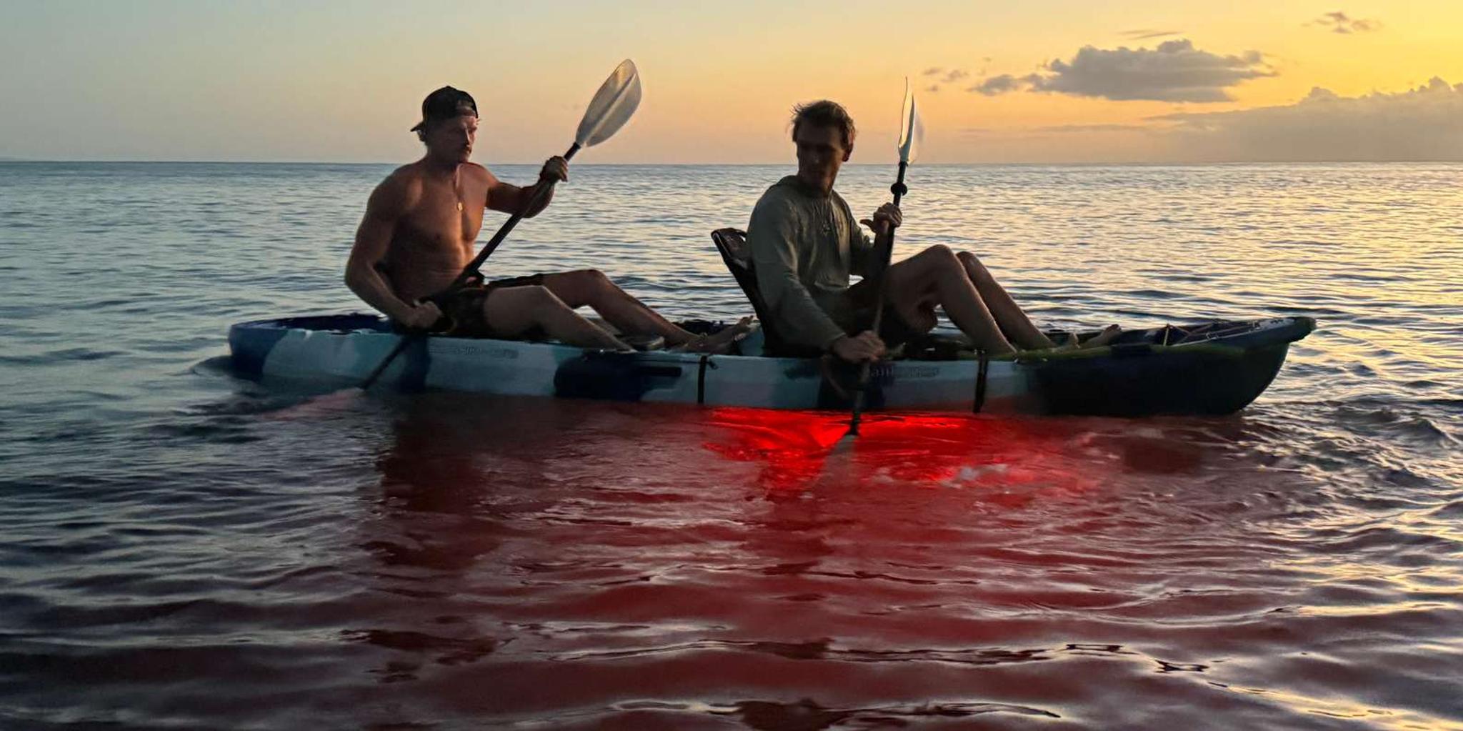 Maui Kayak Tour at Sunset - Image 5
