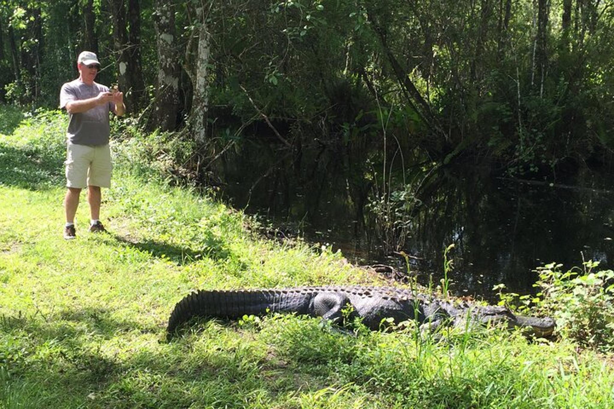 Fakahatchee Strand E-Bike Tour - Image 5