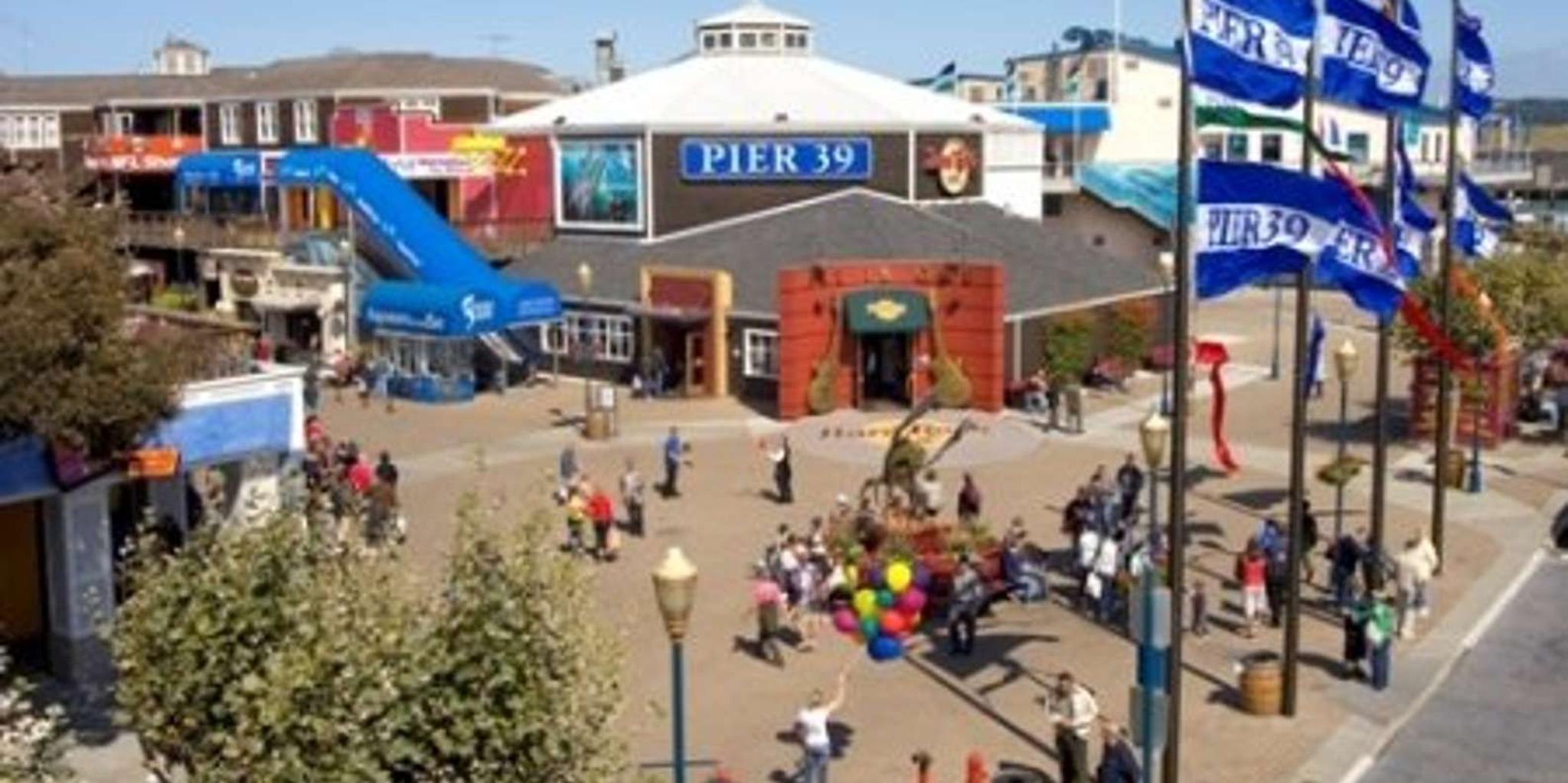 San Francisco City Bus Tour and Bay Cruise - Image 5