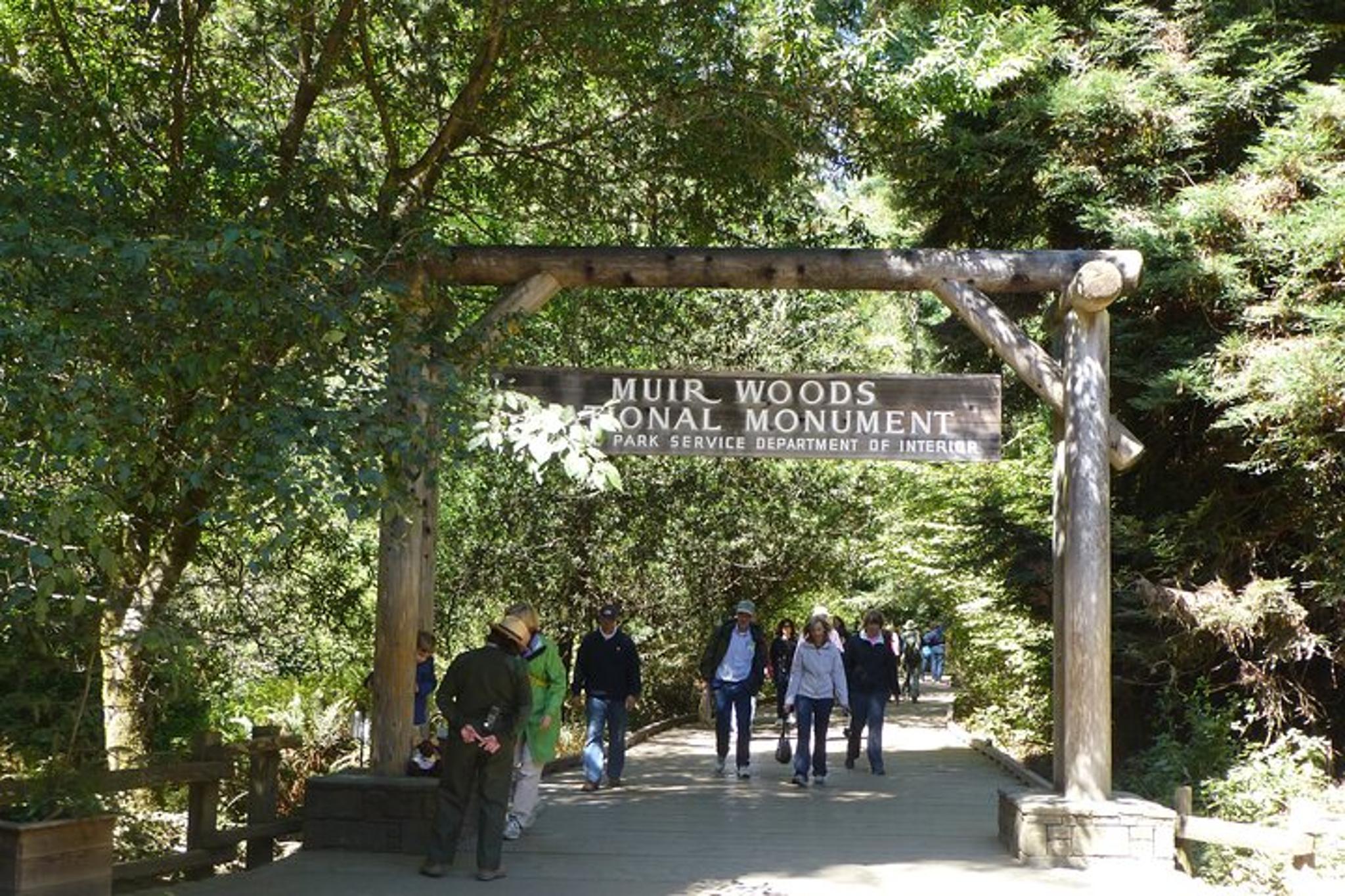 San Francisco Muir Woods and Sausalito Tour 4 hr - Image 2