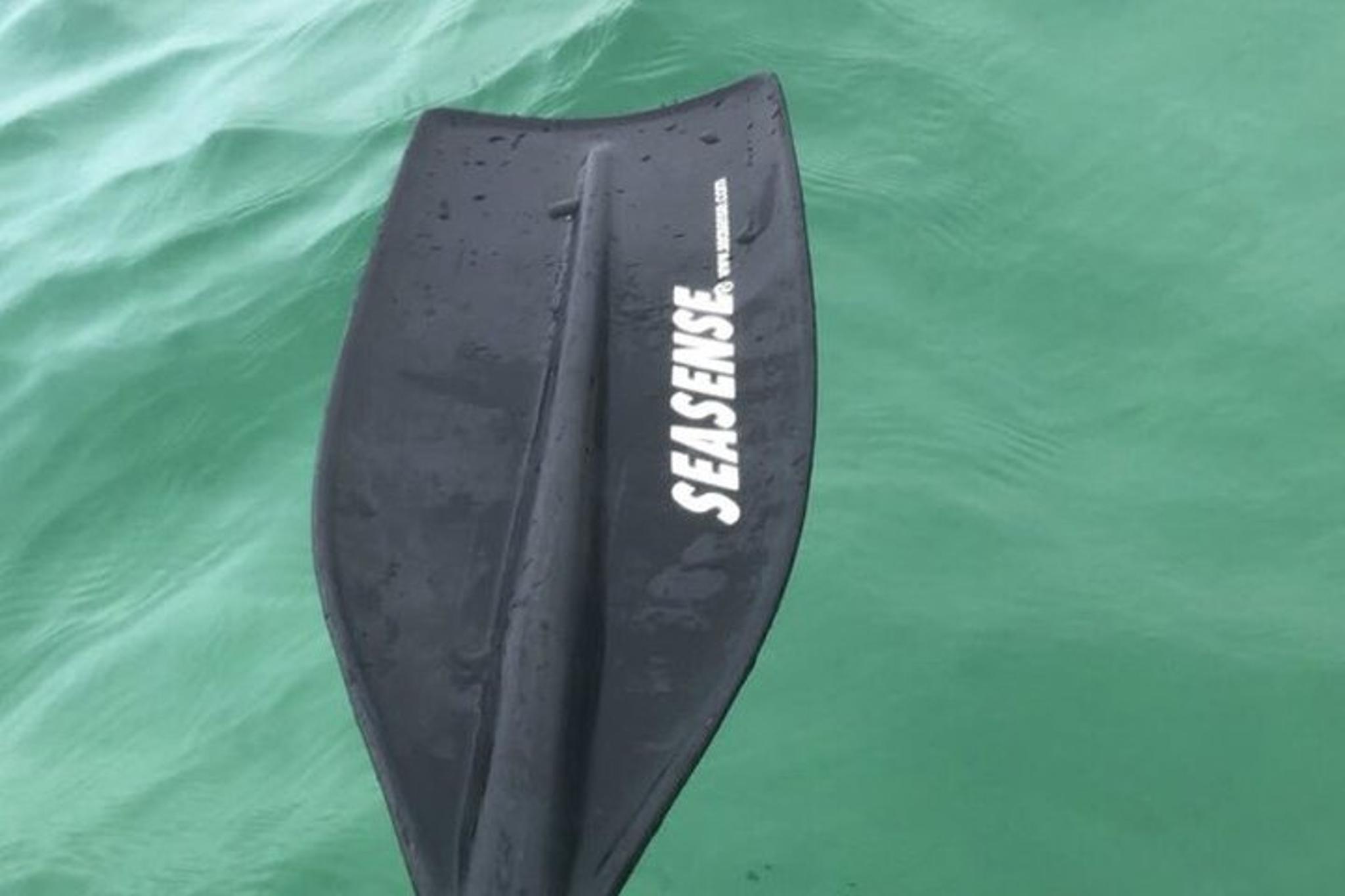 Destin Harbor Kayak Rental - Image 6