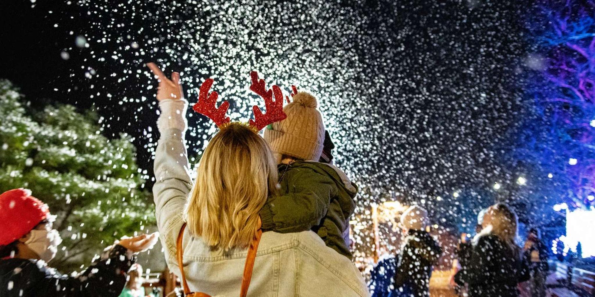 Washington, DC Winter City Lights Experience