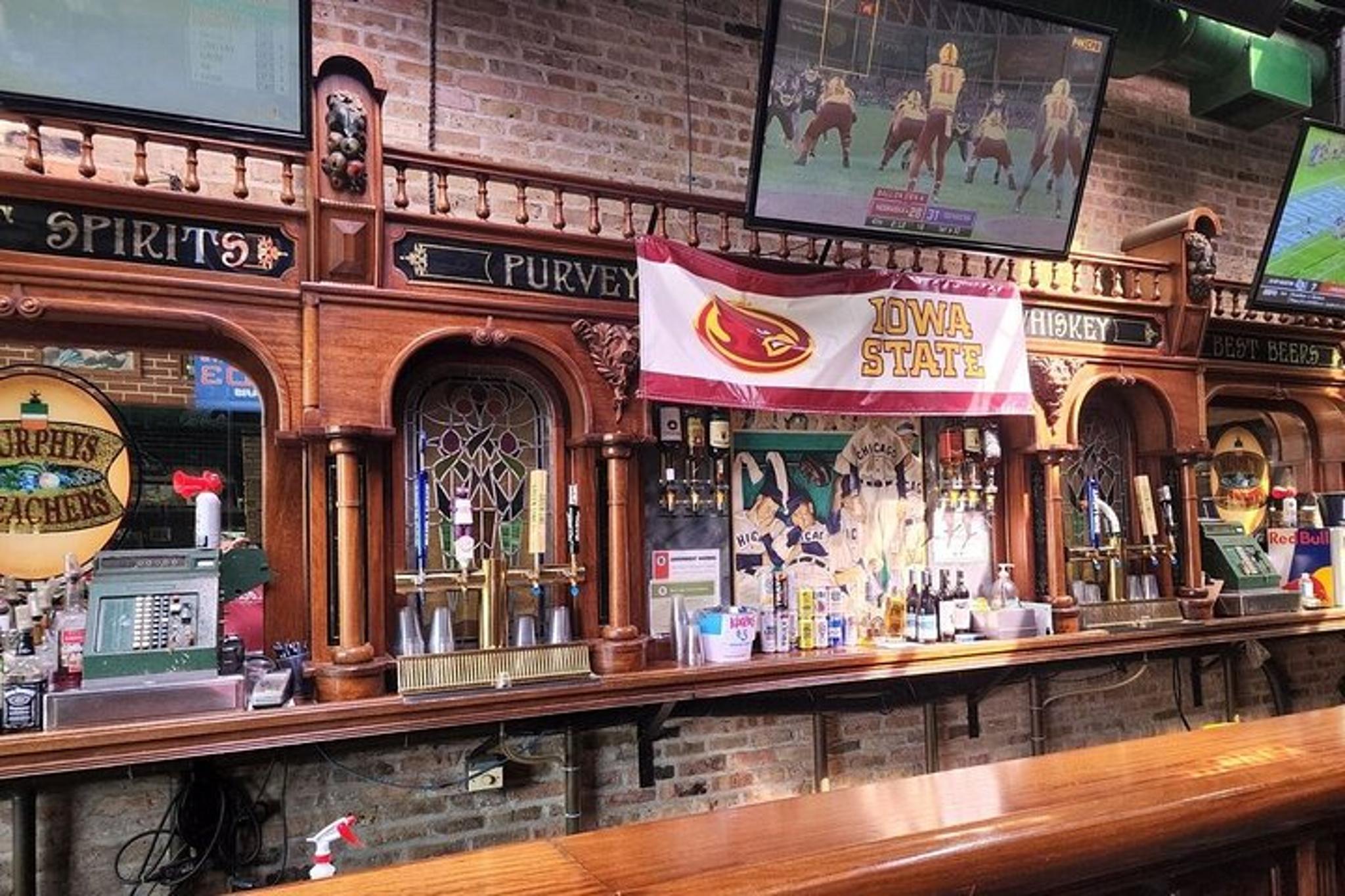 Chicago Bike Tour with Pizza, Hot Dogs, and Beer - Image 4