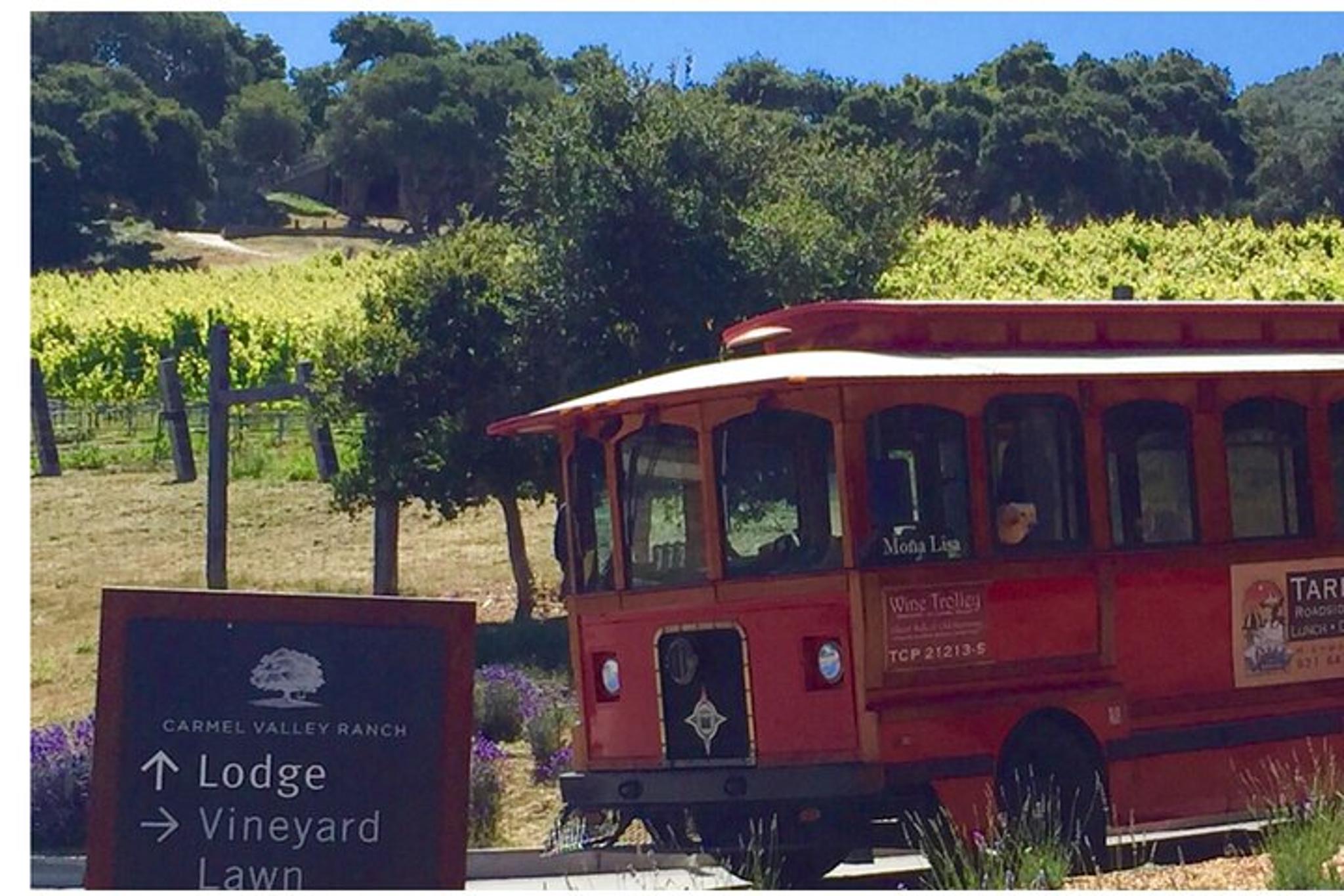 Carmel Valley Wine Tour - Image 5