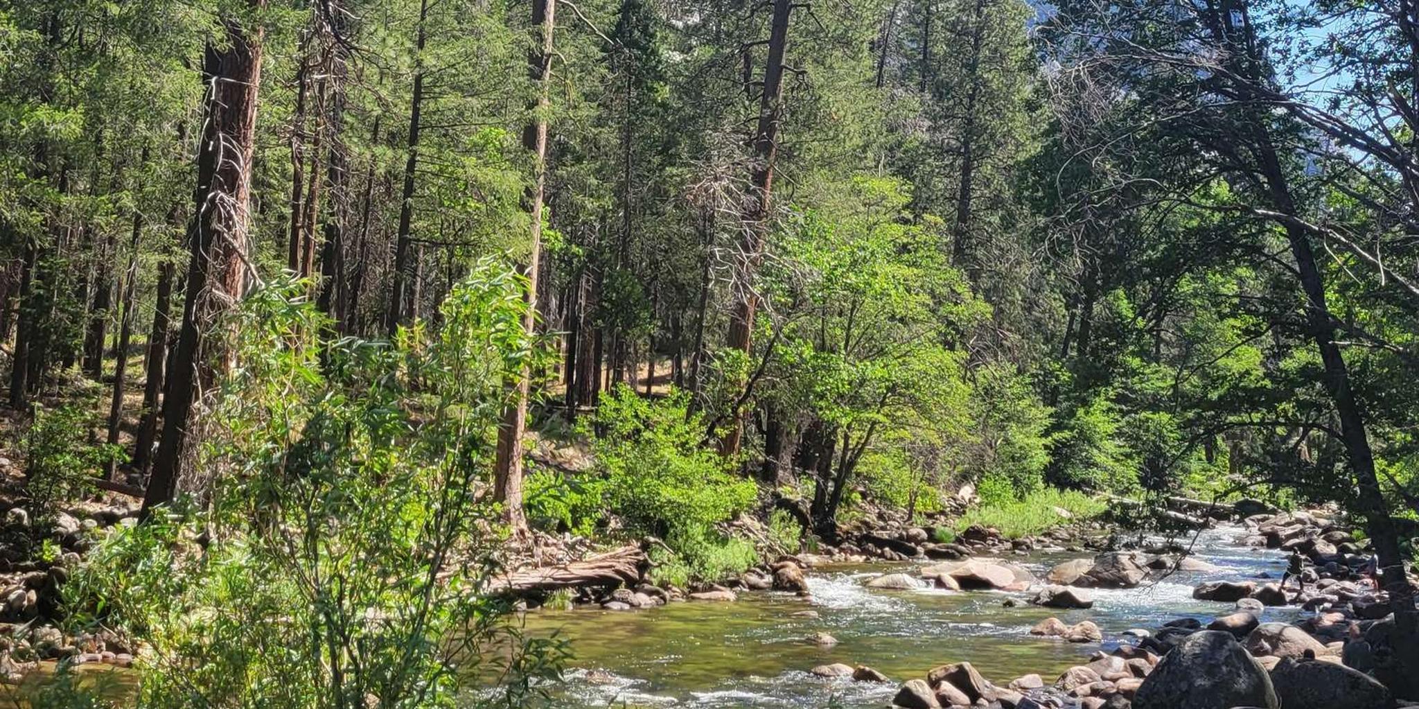 Los Angeles Yosemite and Sequoia National Parks 2-Day Trip - Image 3