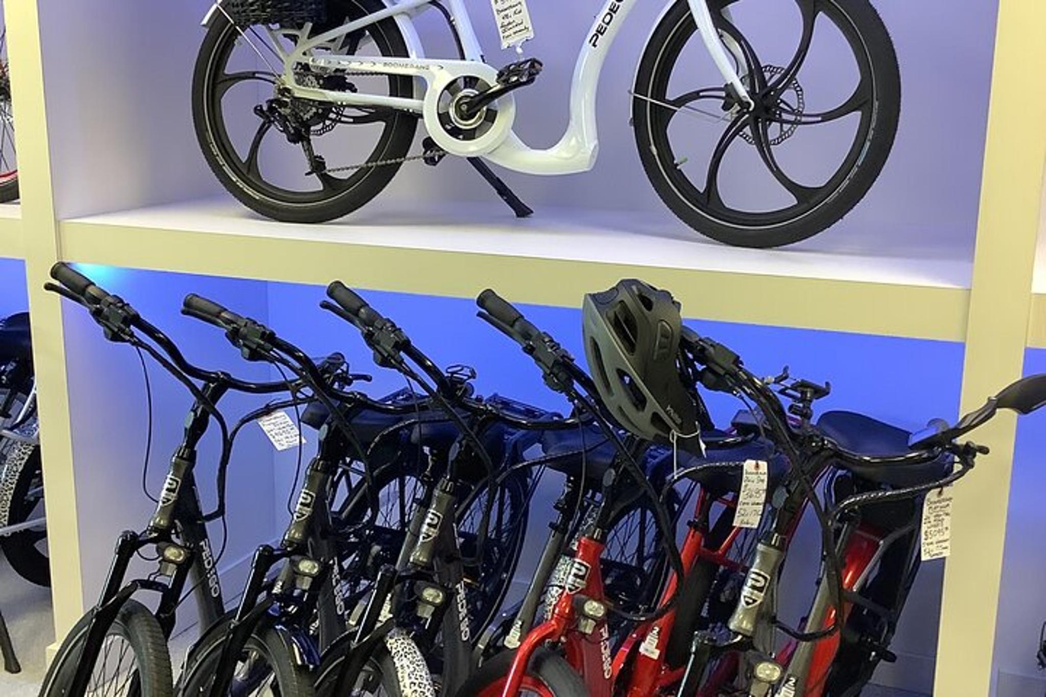 Dunedin Electric Bike Rental - Image 2