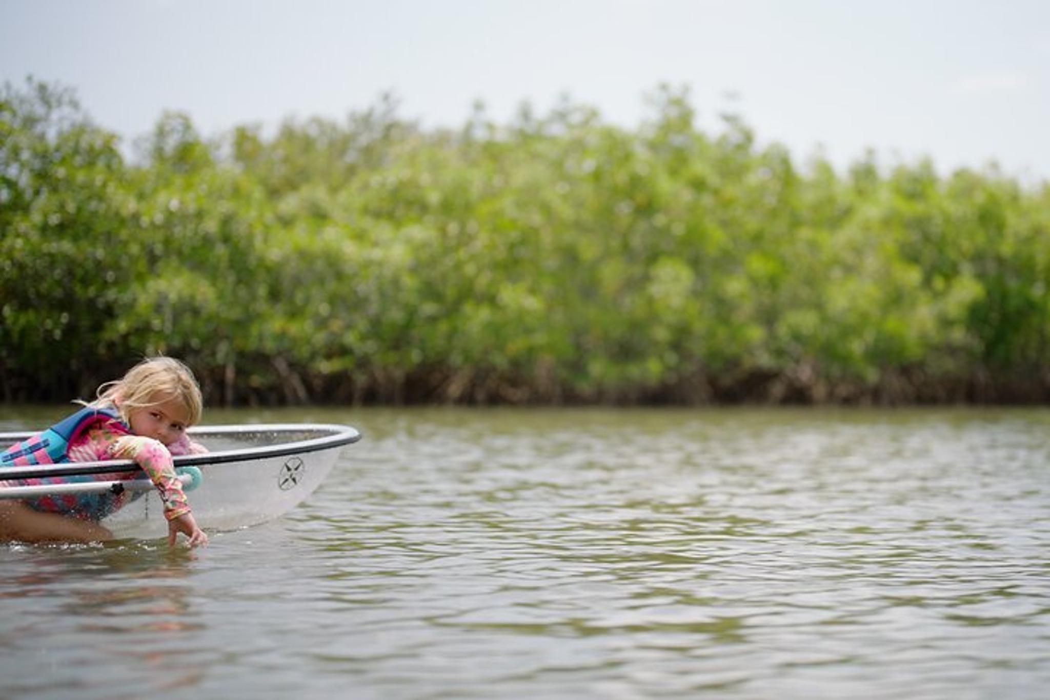 New Smyrna Beach Clear Kayak Tour - Image 3
