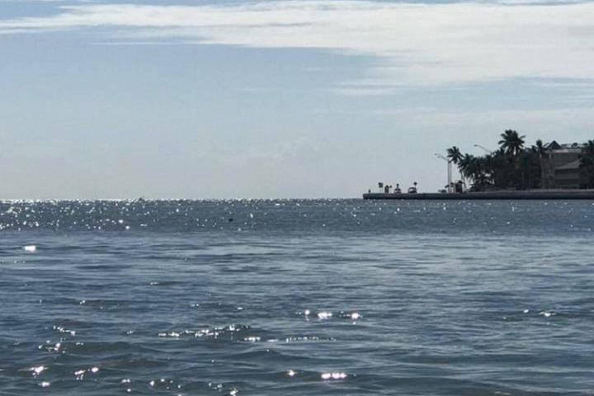 Key West Stand Up Paddleboard Rental 2 hr - Image 5