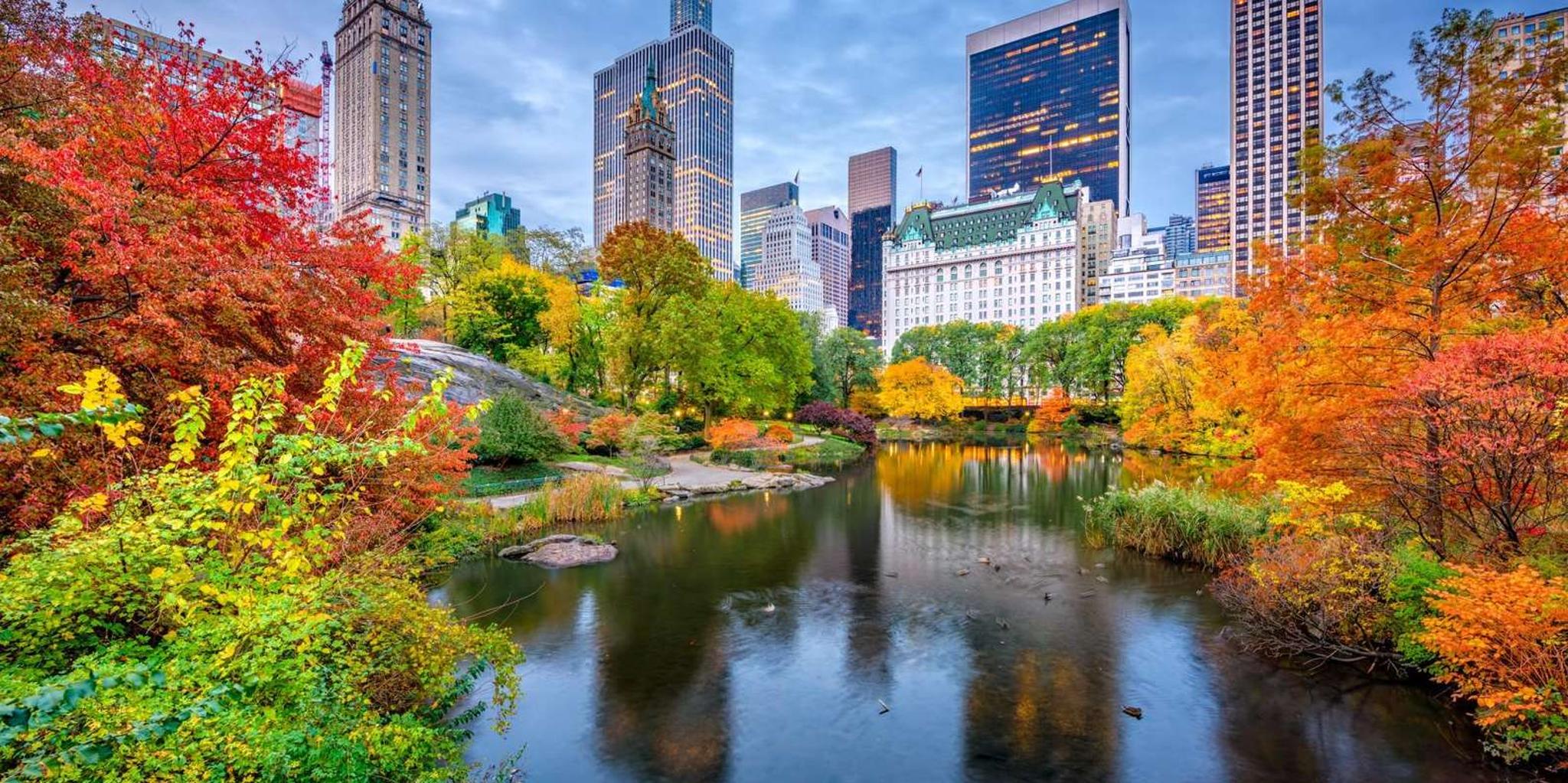 New York City Family-Friendly Tour - Image 2
