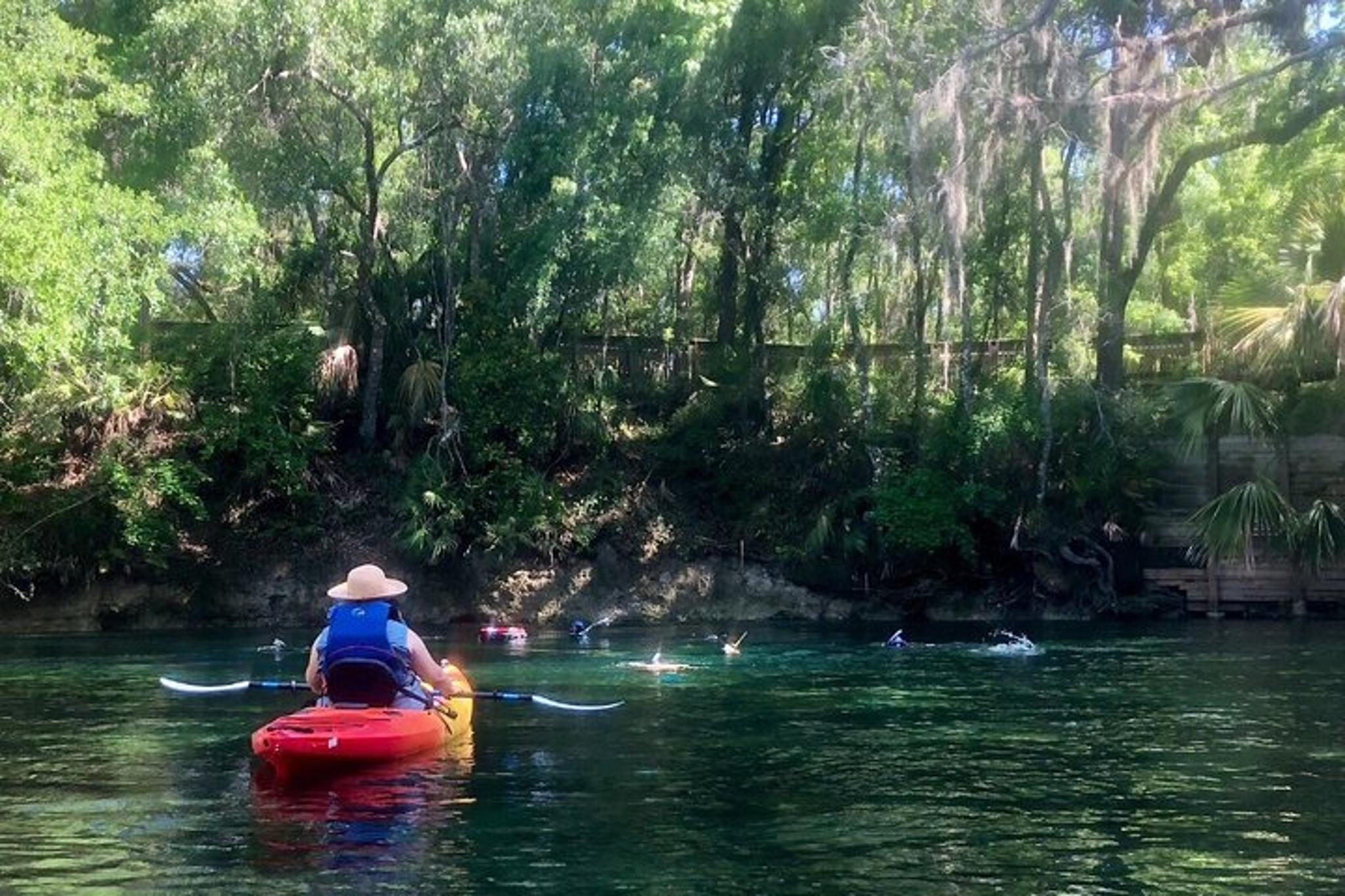 Sanford Wekiva River Kayak Tour 5 hr - Image 5