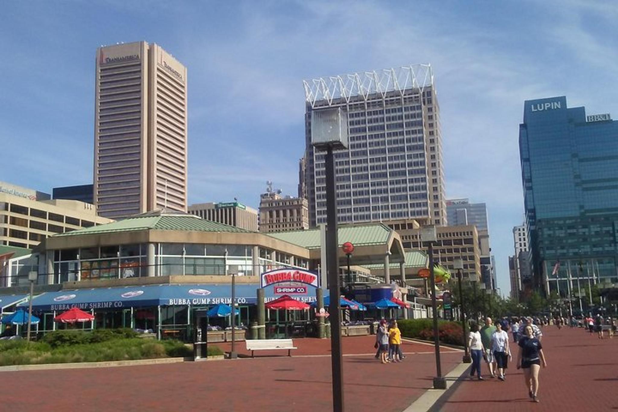 Baltimore Cruise Ship Tour with Shuttle Service - Image 2