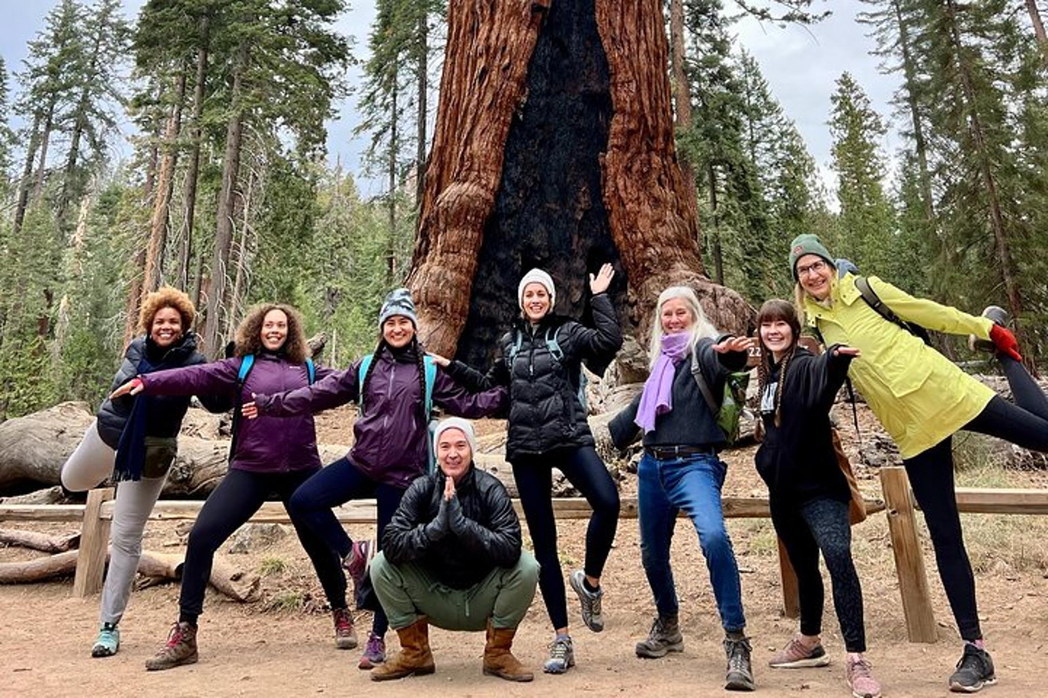 Yosemite Private Tour - Image 3